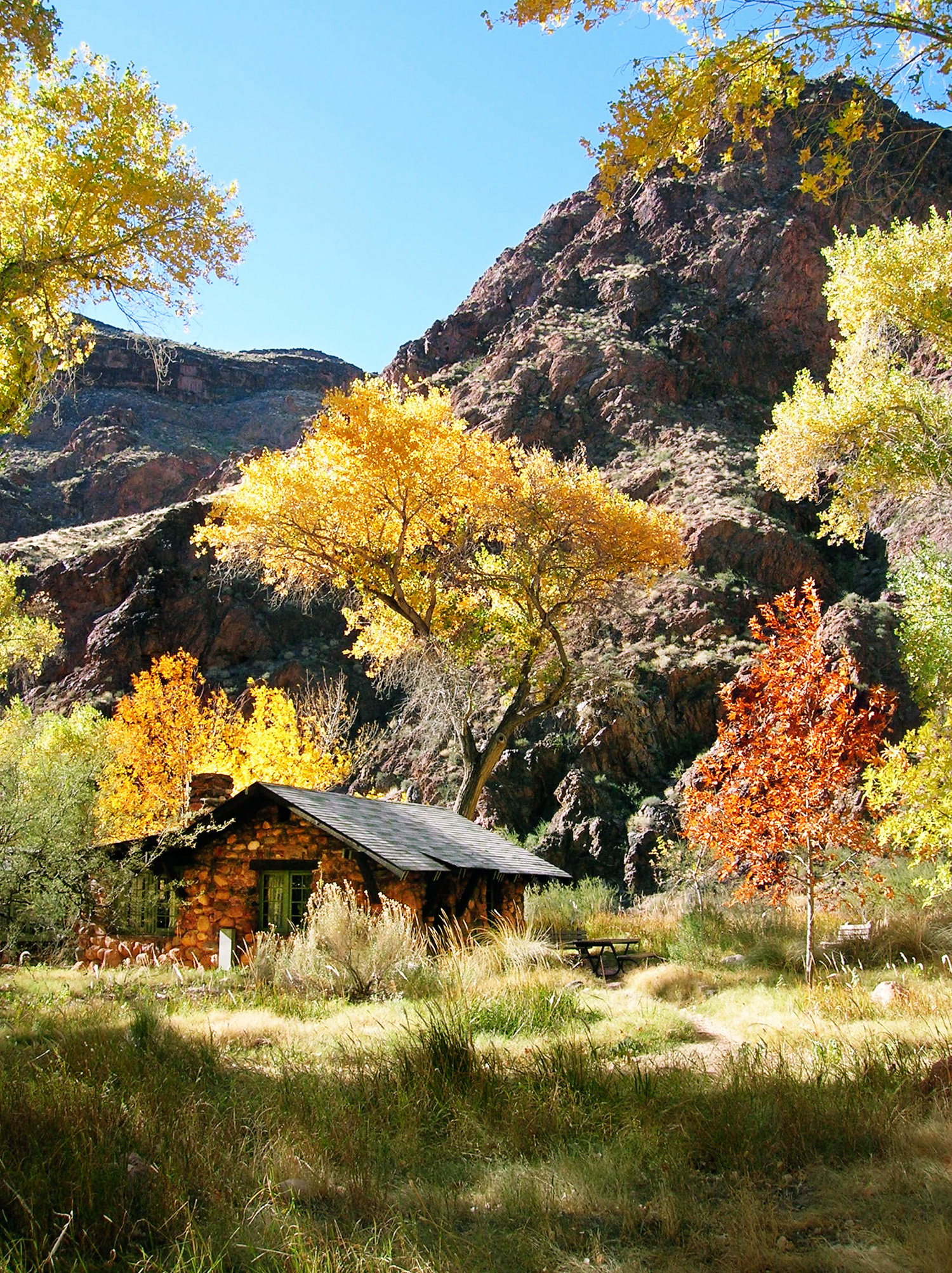 thanksgiving-goes-grand