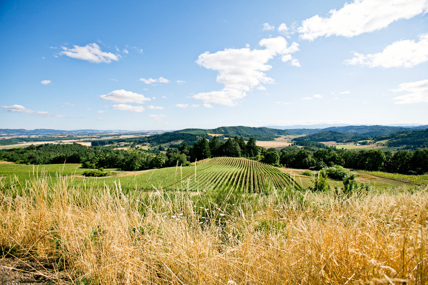 4-more-wine-country-dream-towns