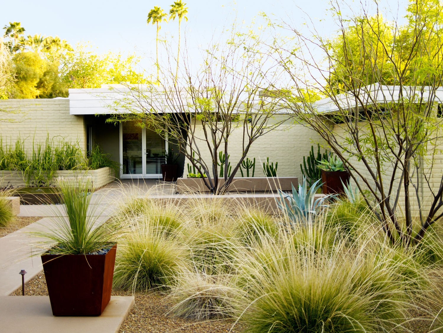 Desert landscape outlet front yard