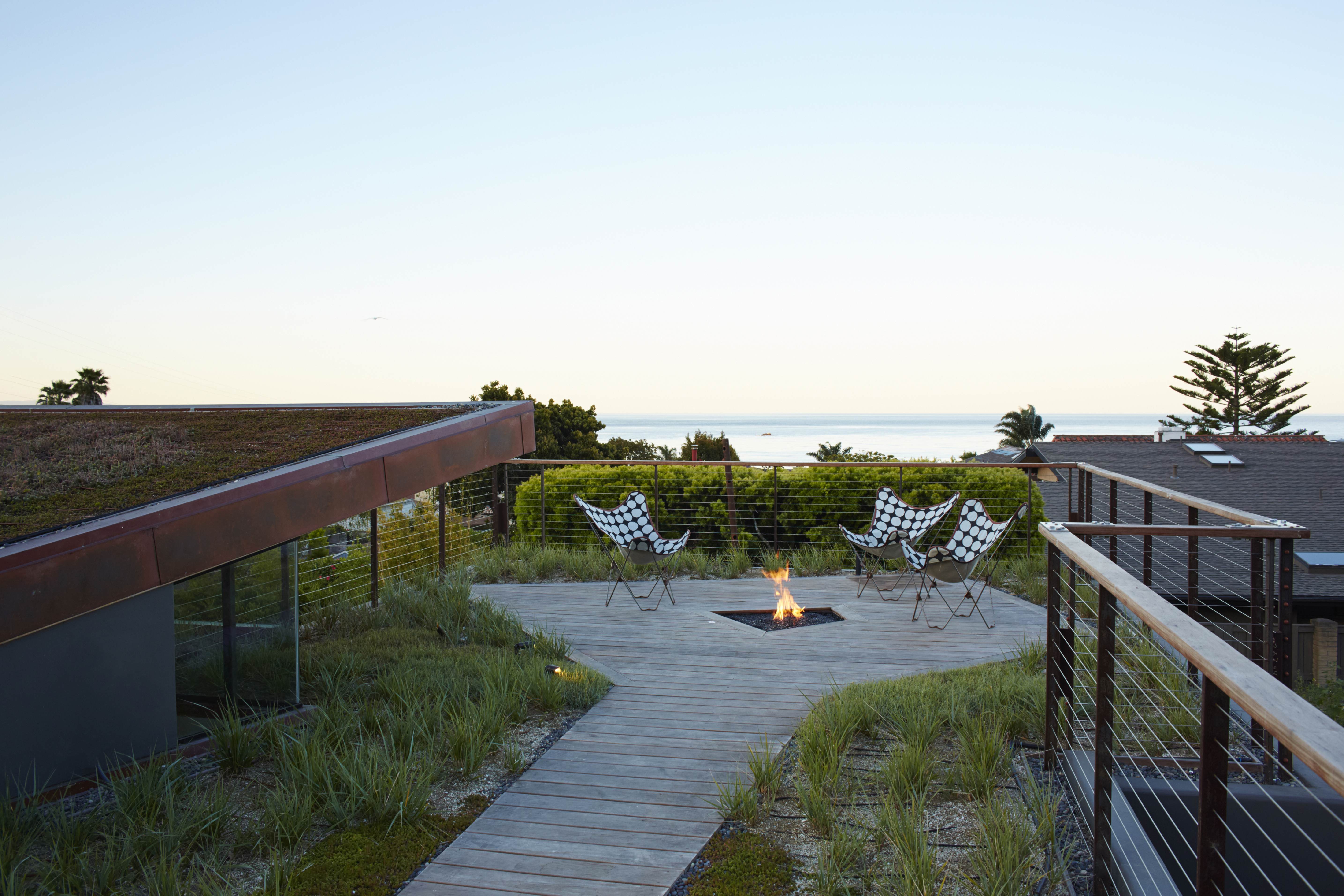 how-long-will-it-take-to-grow-in