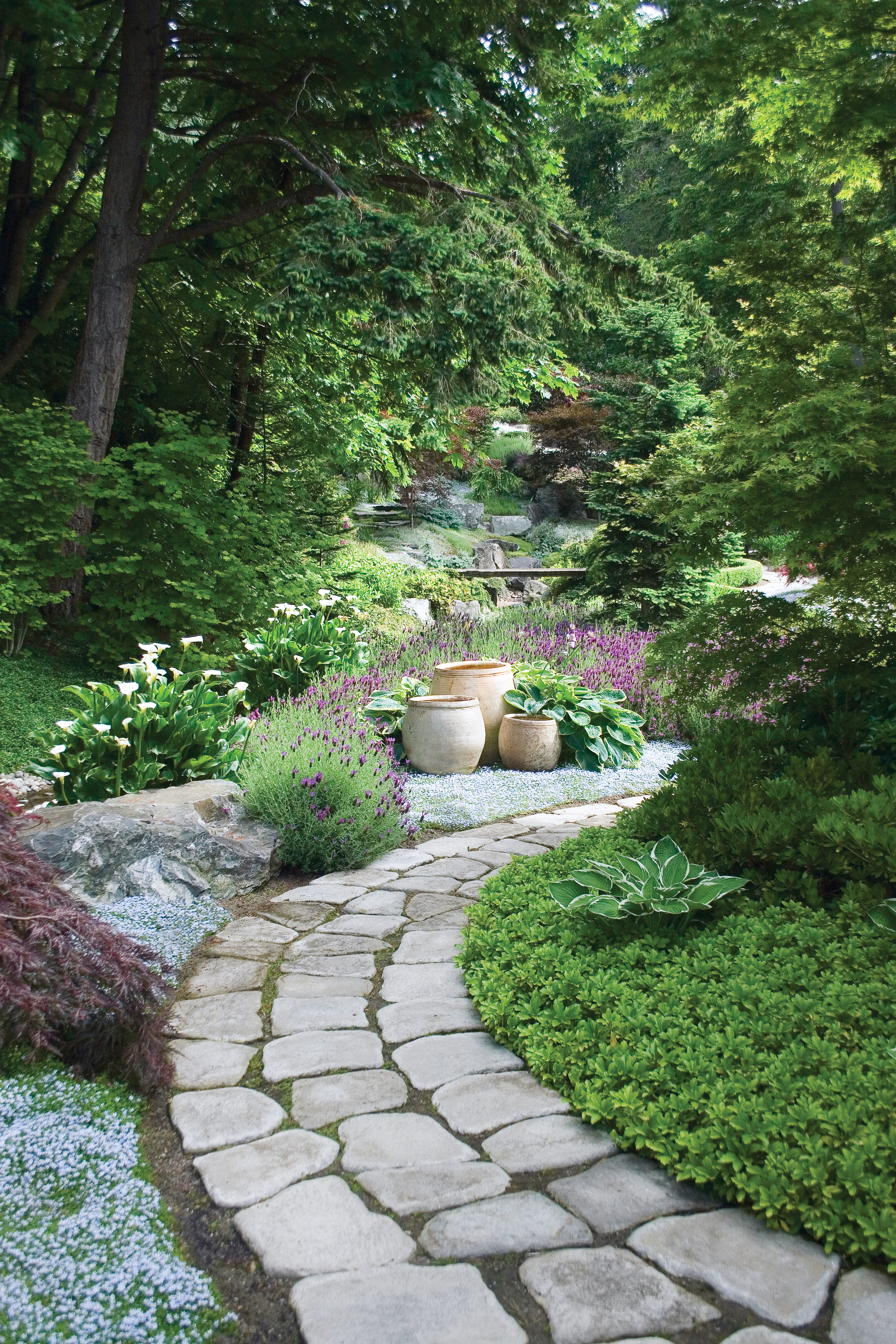 mimicry-with-concrete