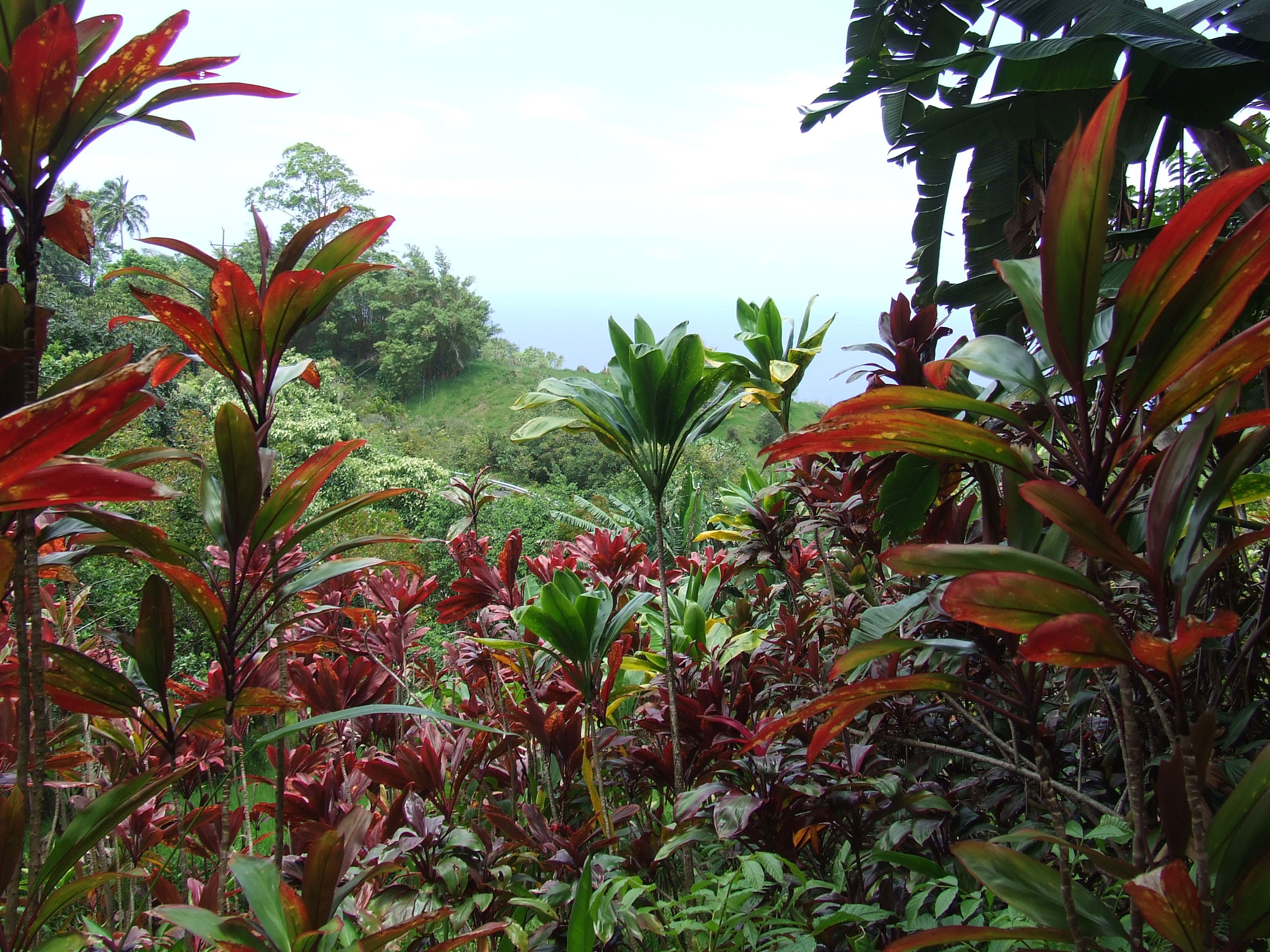 girls-getaway-meditation-on-maui