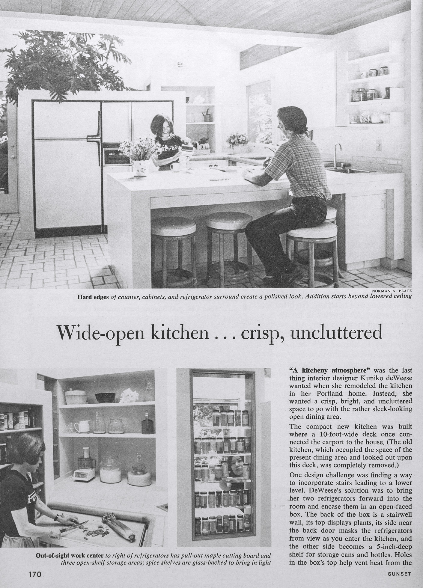 inspiration-open-kitchen