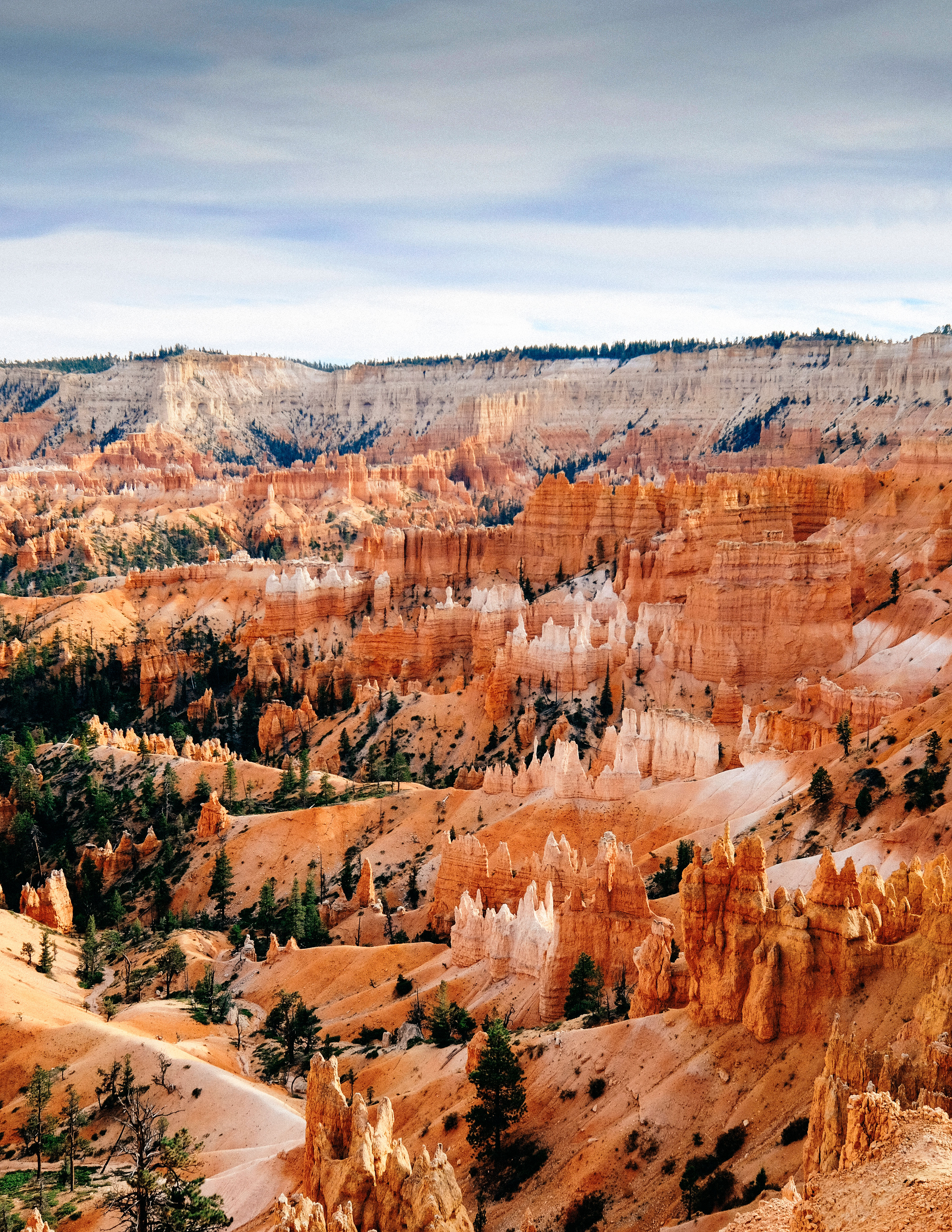 The hoodoos at Bryce National Park off Highway 89
