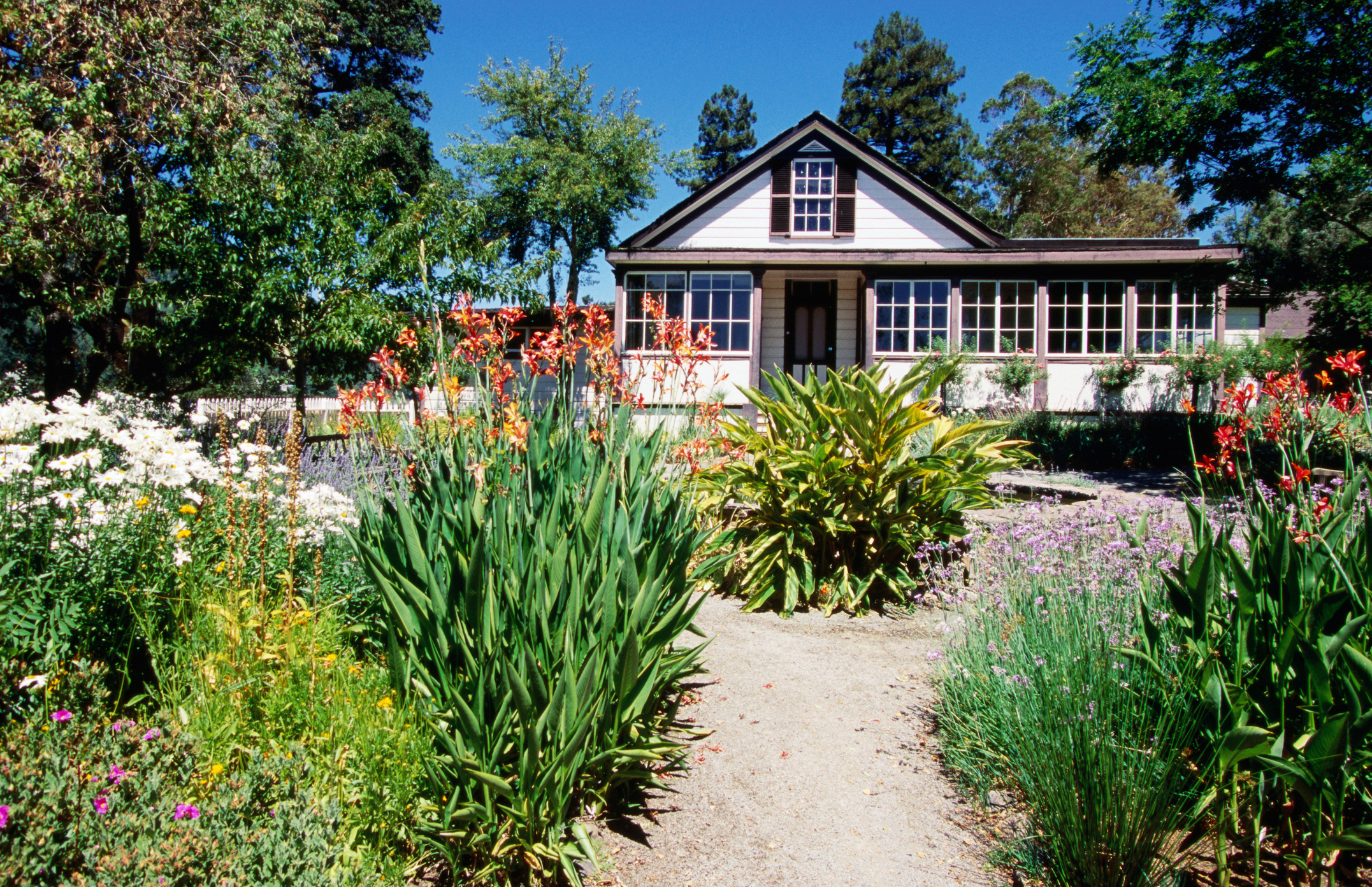 jack-london-mountain-and-quarry-trail-jack-london-state-historic-park-glen-ellen-ca
