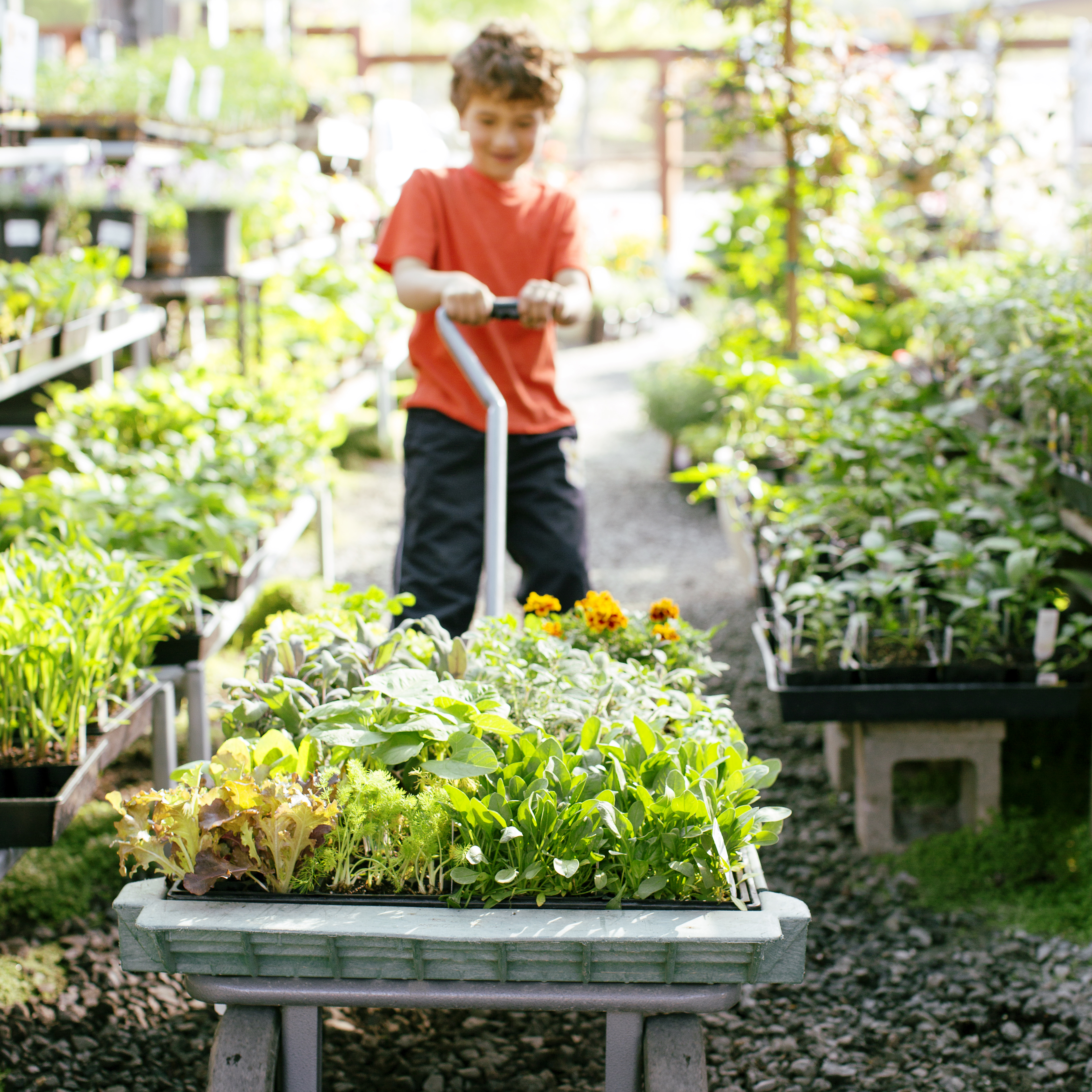 Your Ultimate Summer Gardening To-Do List