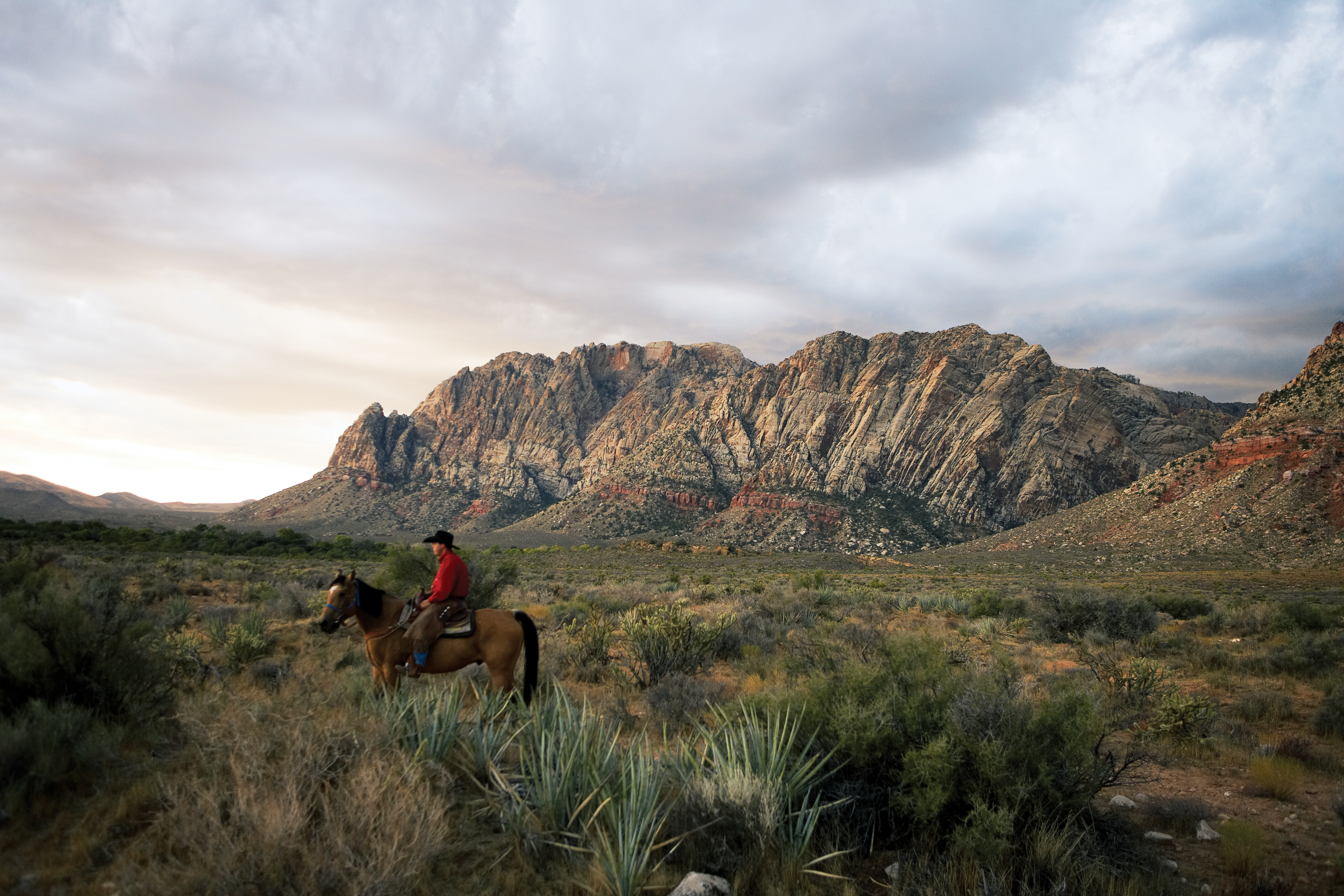 turtlehead-peak-trail-red-rock-canyon-national-conservation-area-las-vegas-nv
