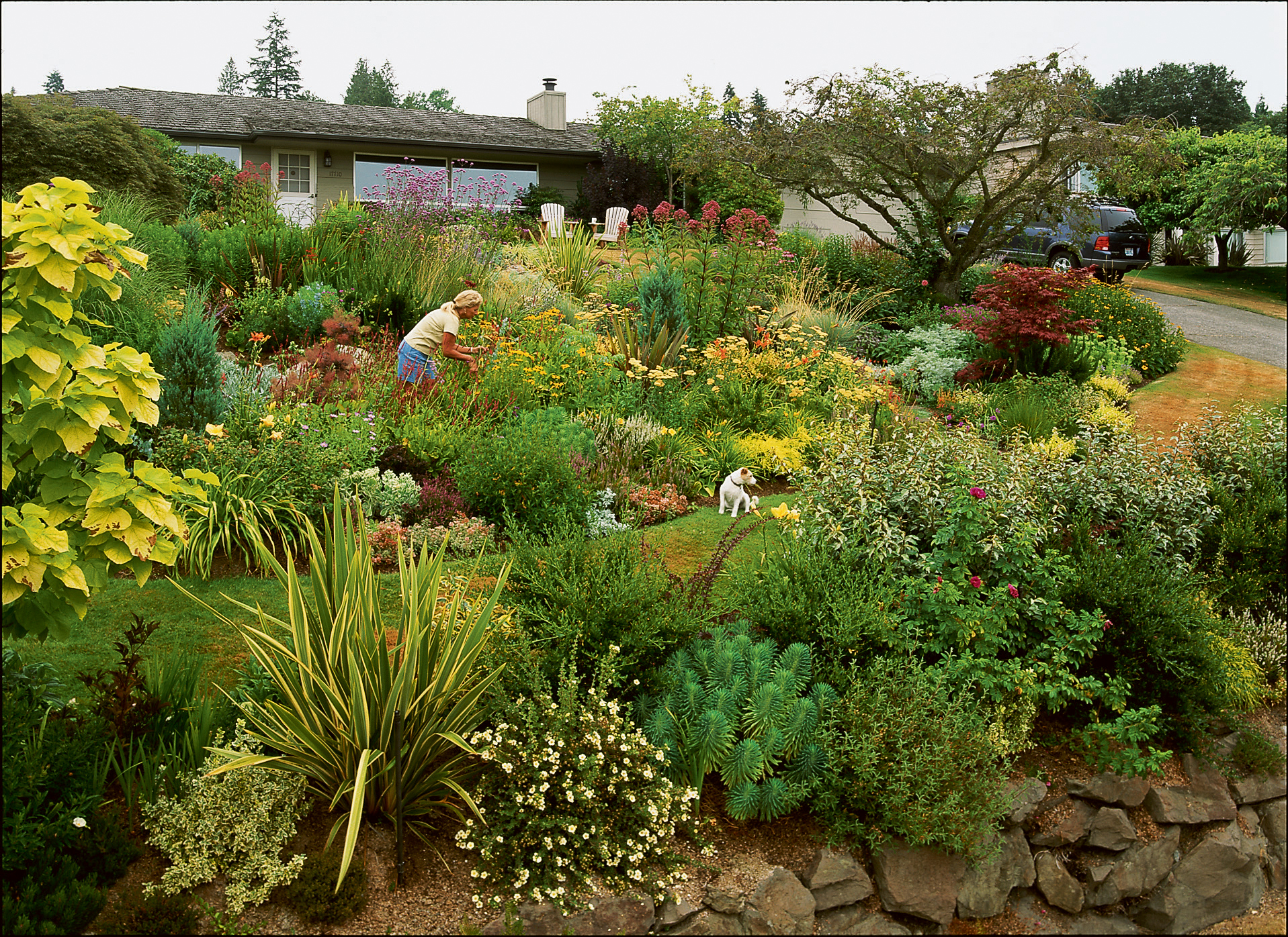 lawn-free-tapestry-in-seattle