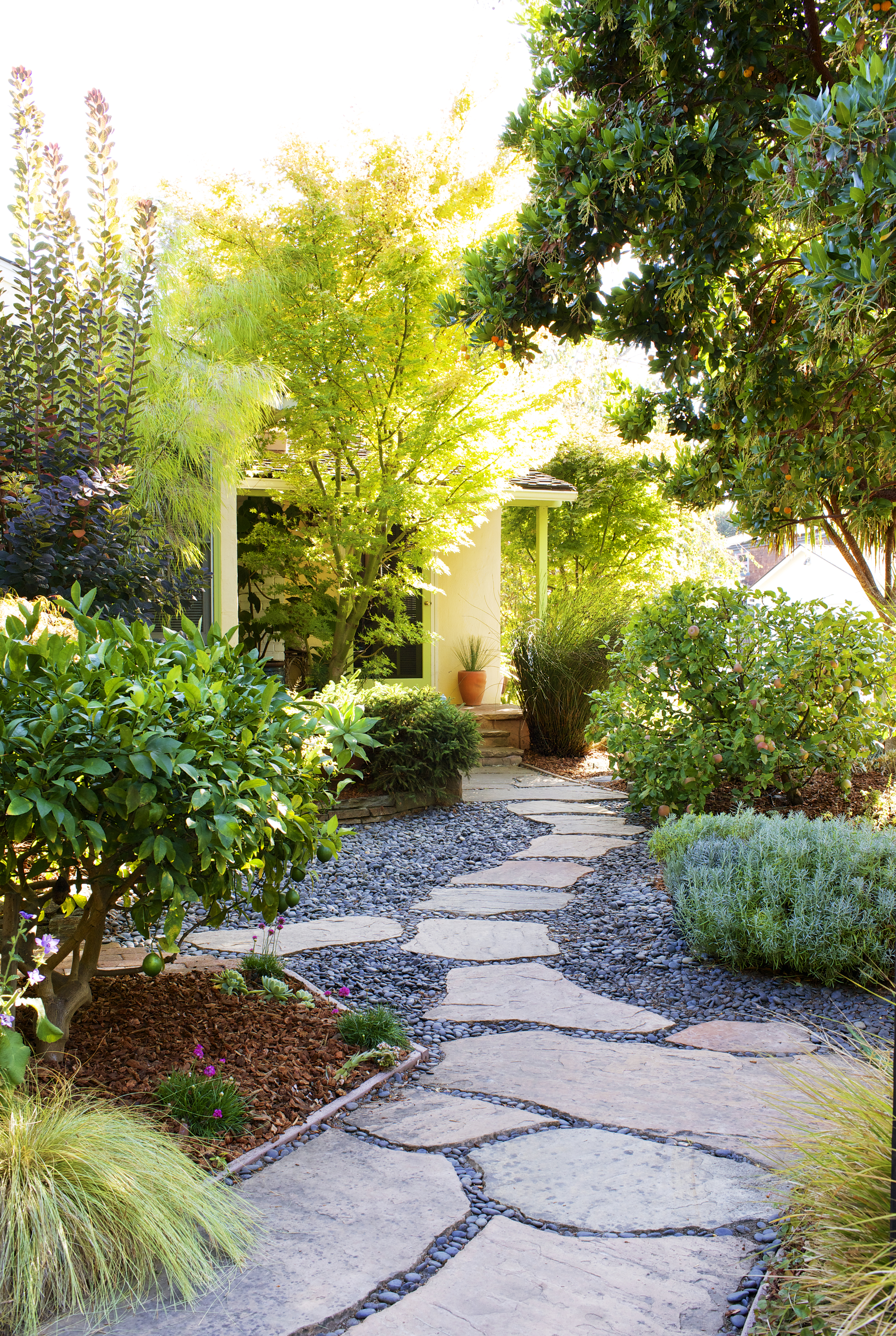 Lawn-free landscaping ideas