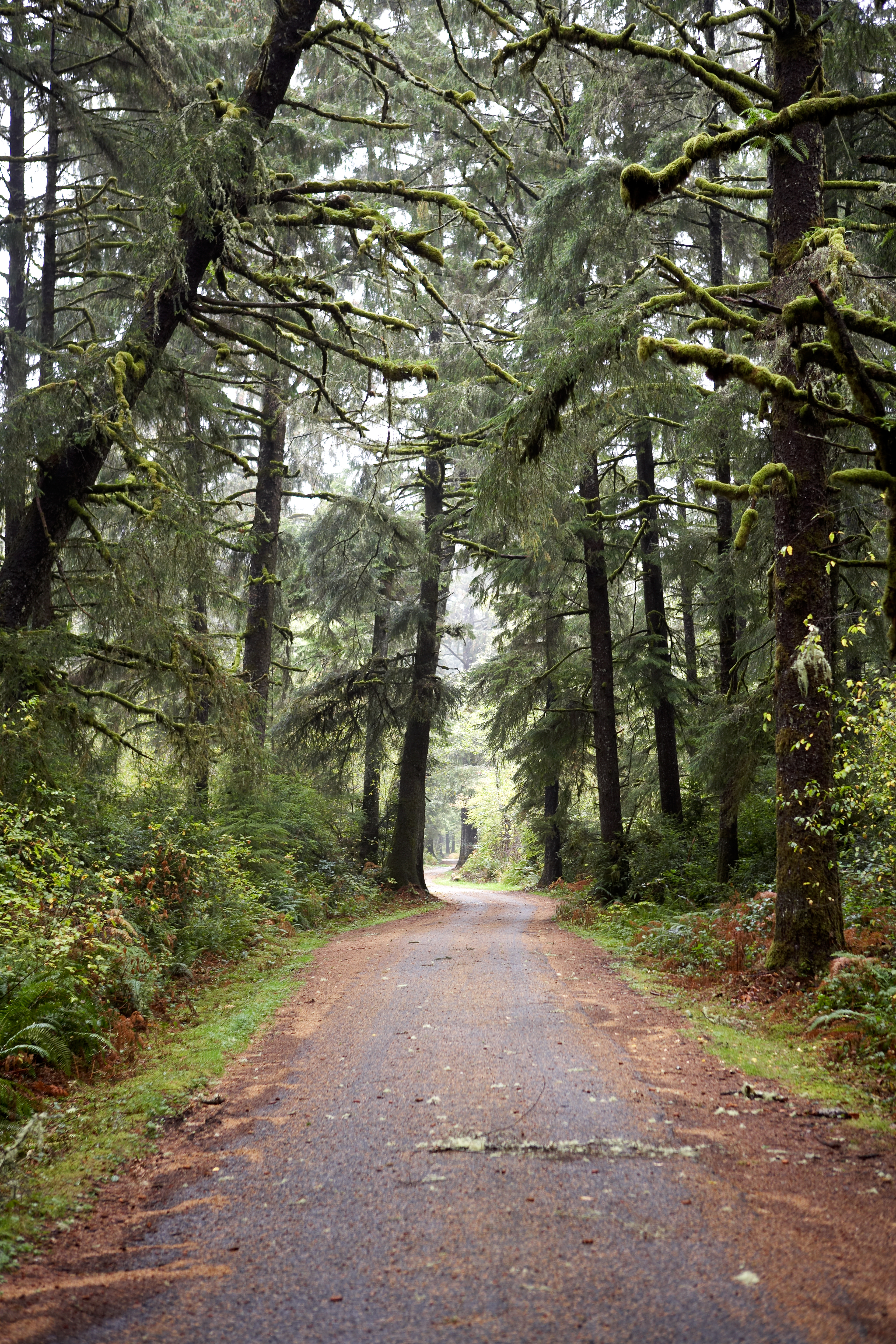 Washington's Hidden Coast