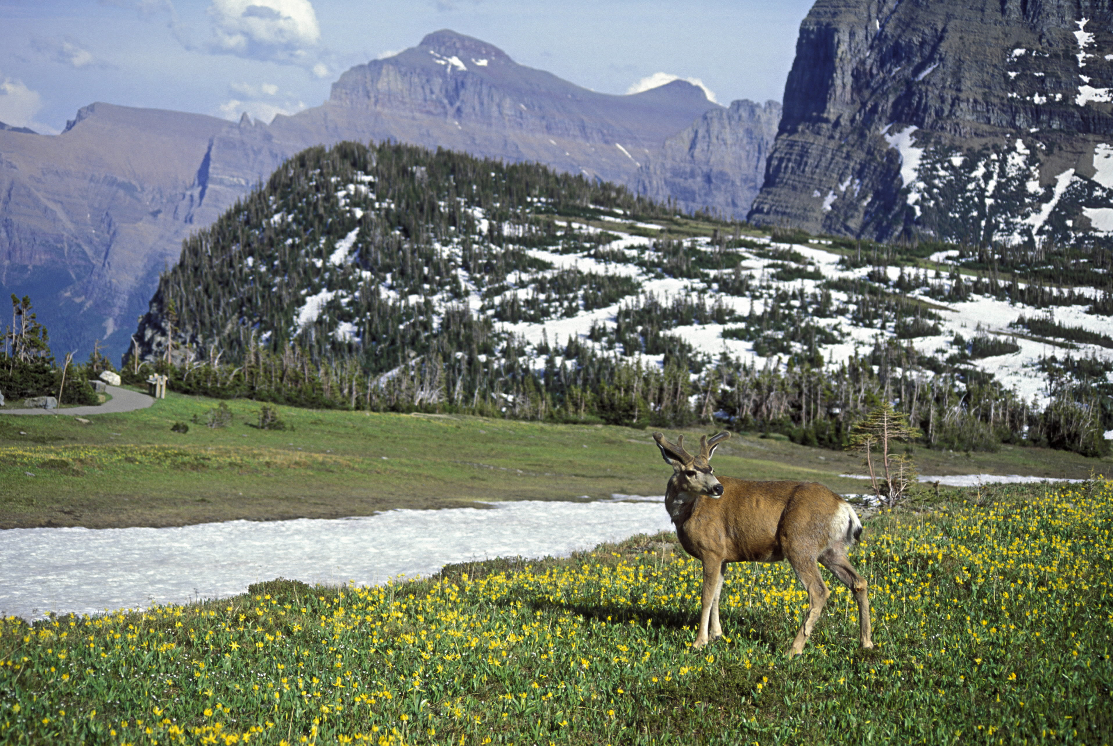 Glacier National Parkâ€™s Top Wow Spots - Sunset Magazine