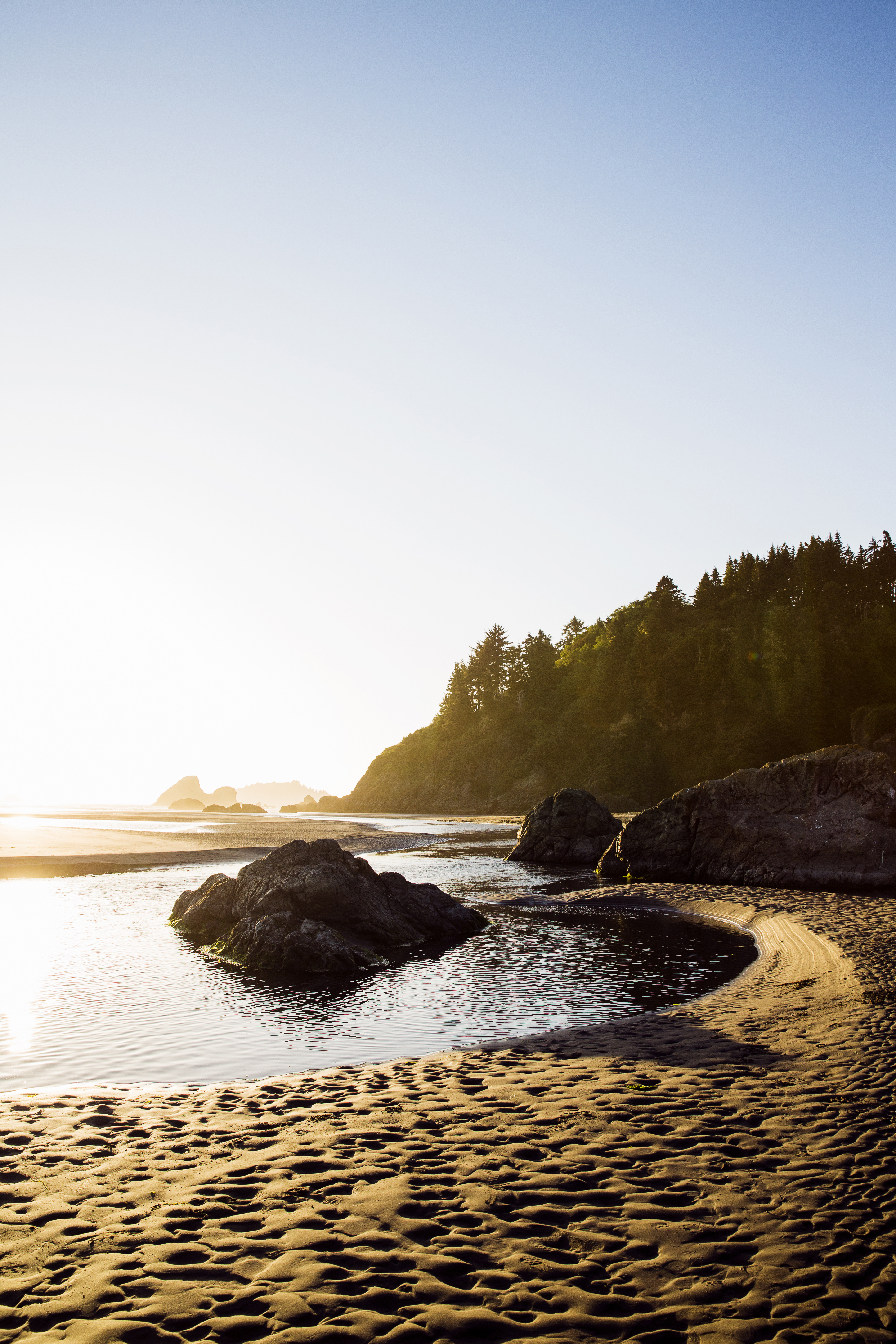 California's Lost Coast Is an Untamed Paradise—These Are Its Most Stunning Sights