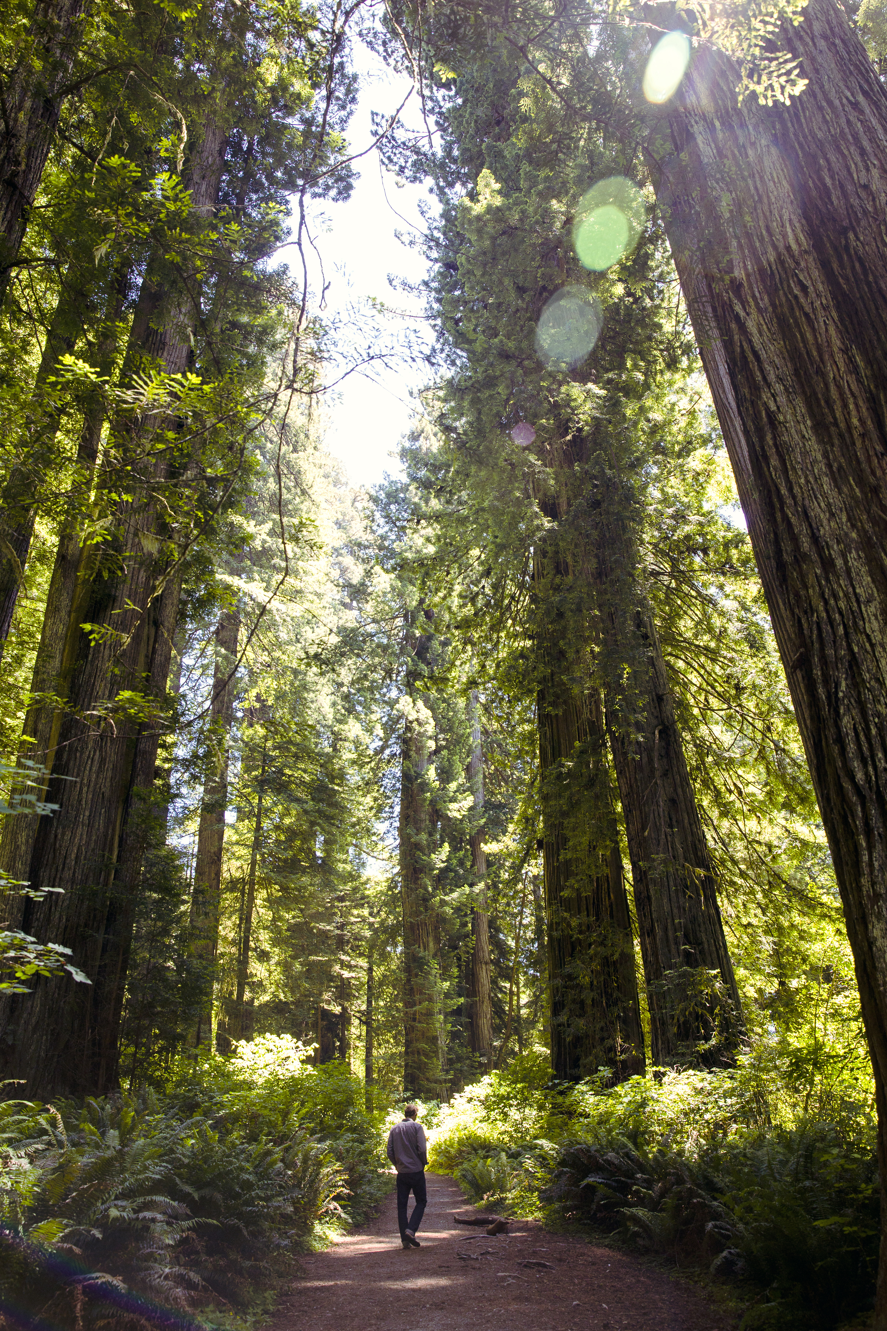 Plans Progress for a New 300-Mile Hiking Trail Across Northern California