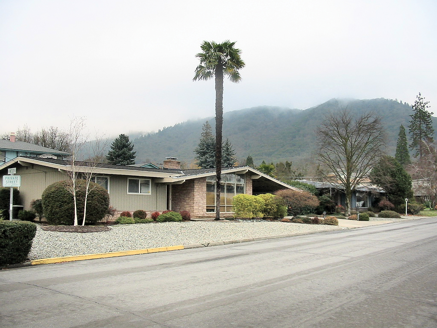 yard-with-pavers-before