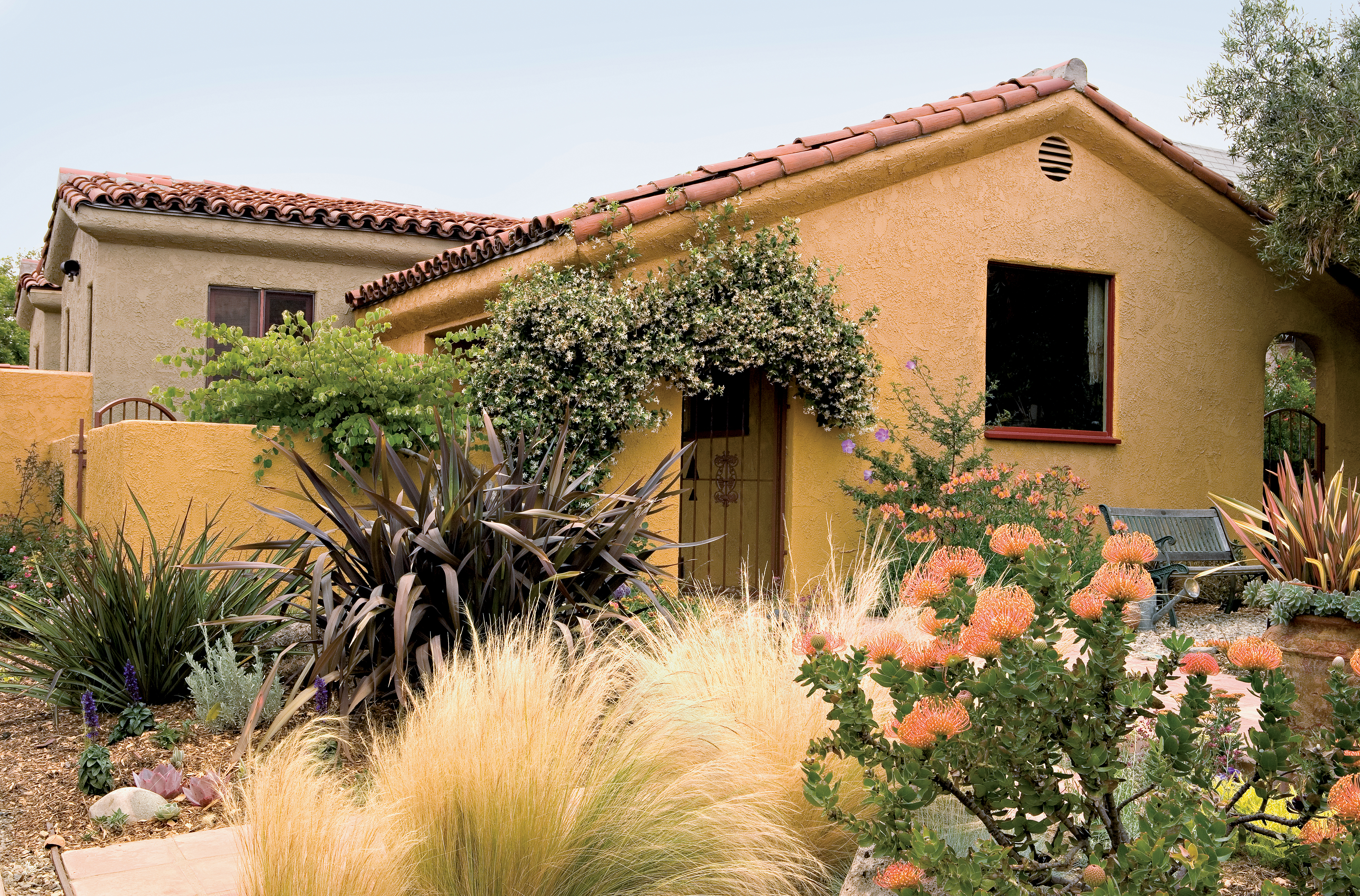 Lush garden, light touch