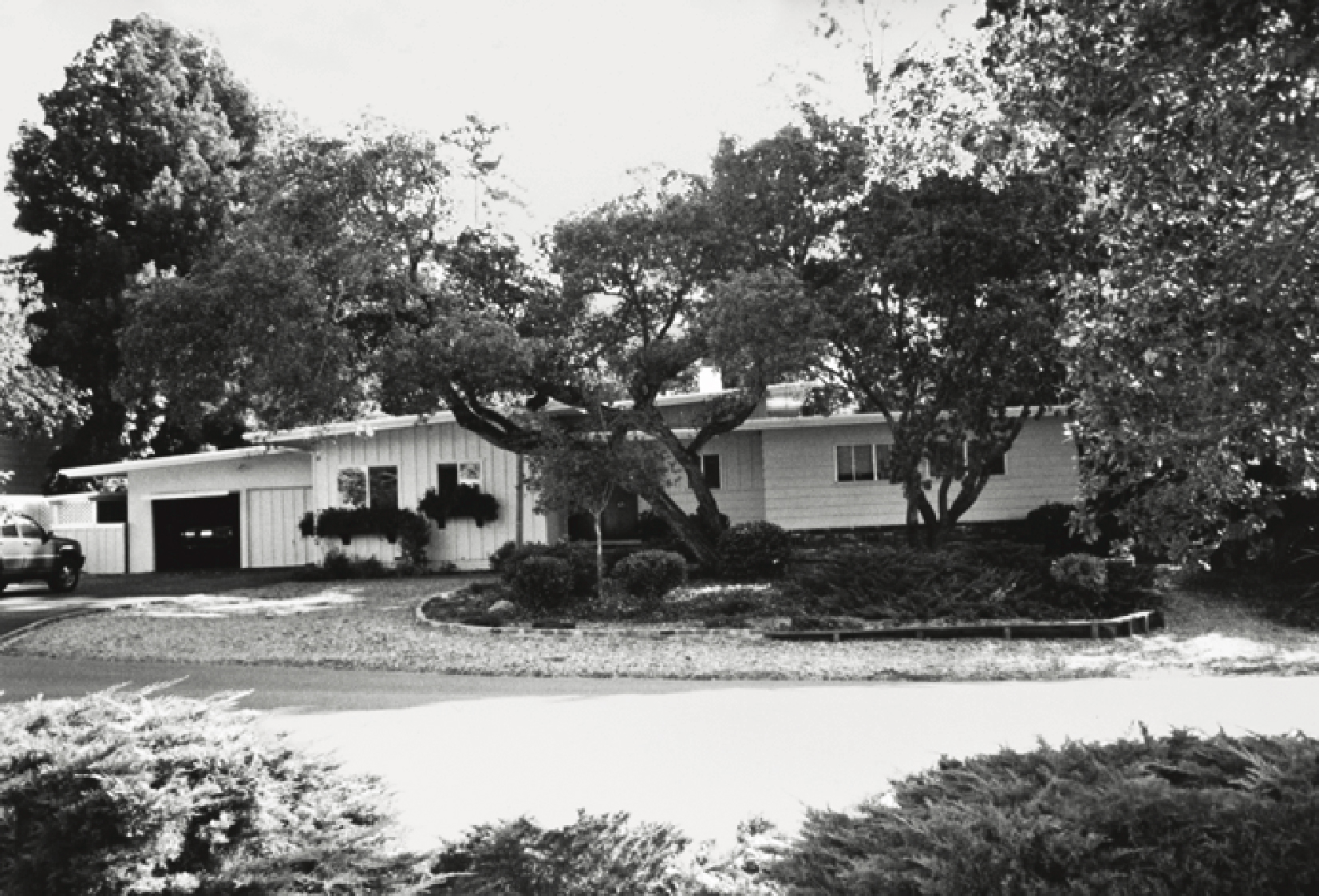 front-yard-private-entrance-before