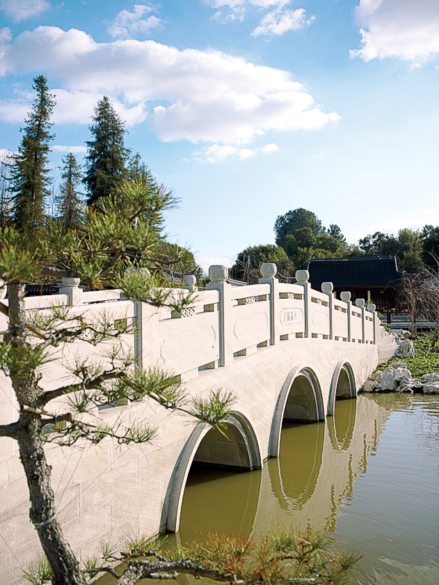 stop-and-smell-the-flowers