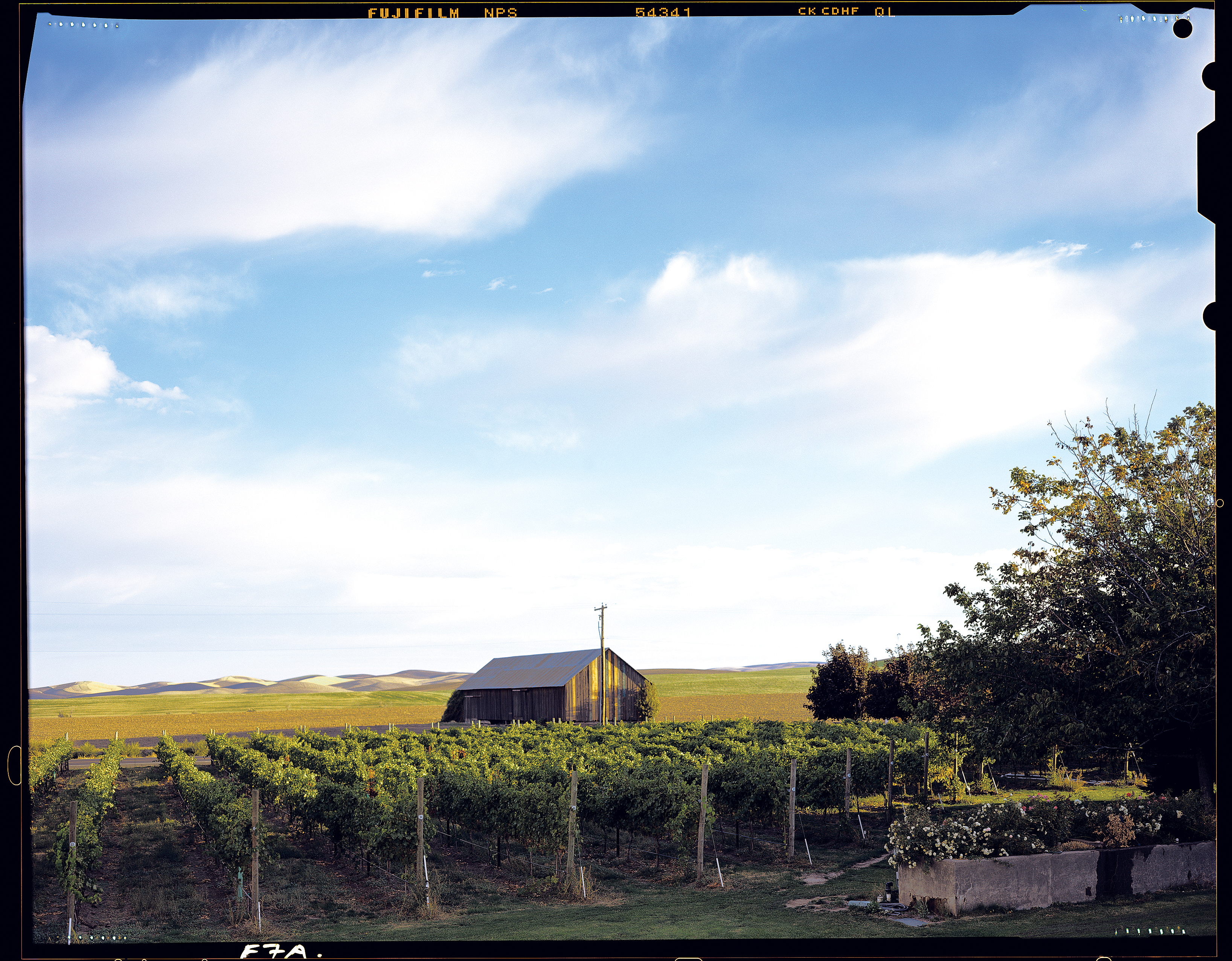 tasting-trip-for-a-wine-loving-dad