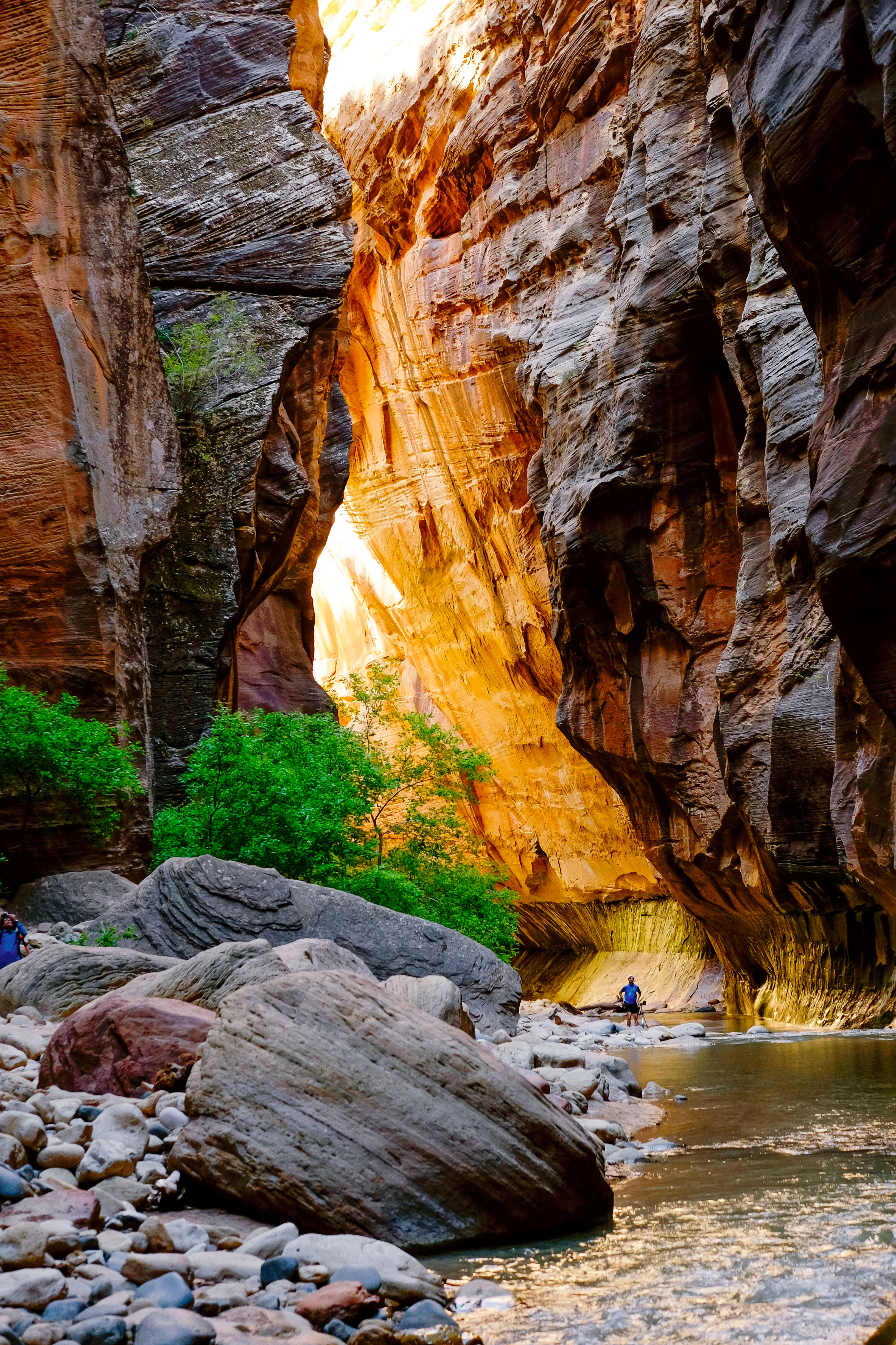 the-narrows-top-down-zion-national-park-ut