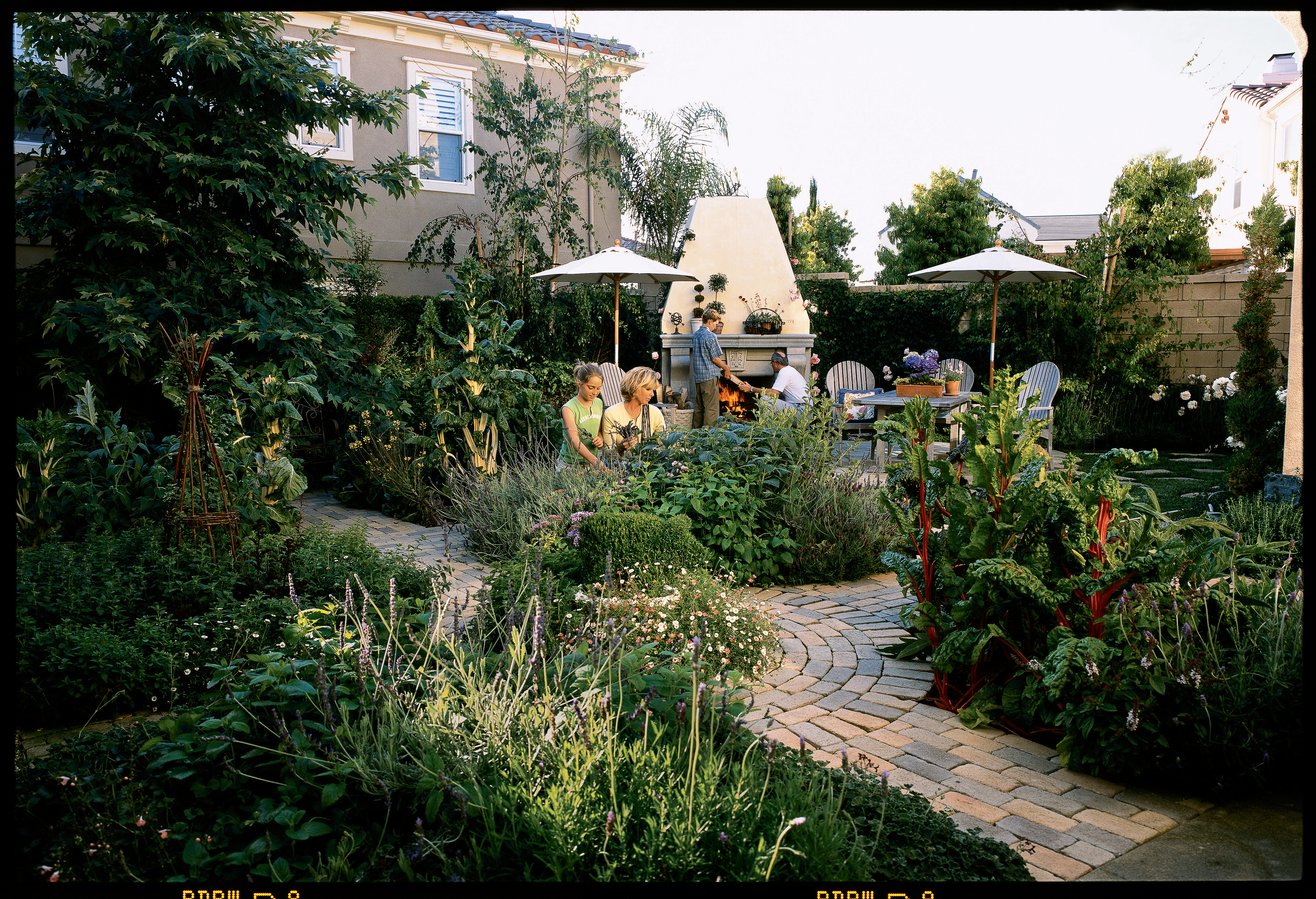 old-world-kitchen-garden
