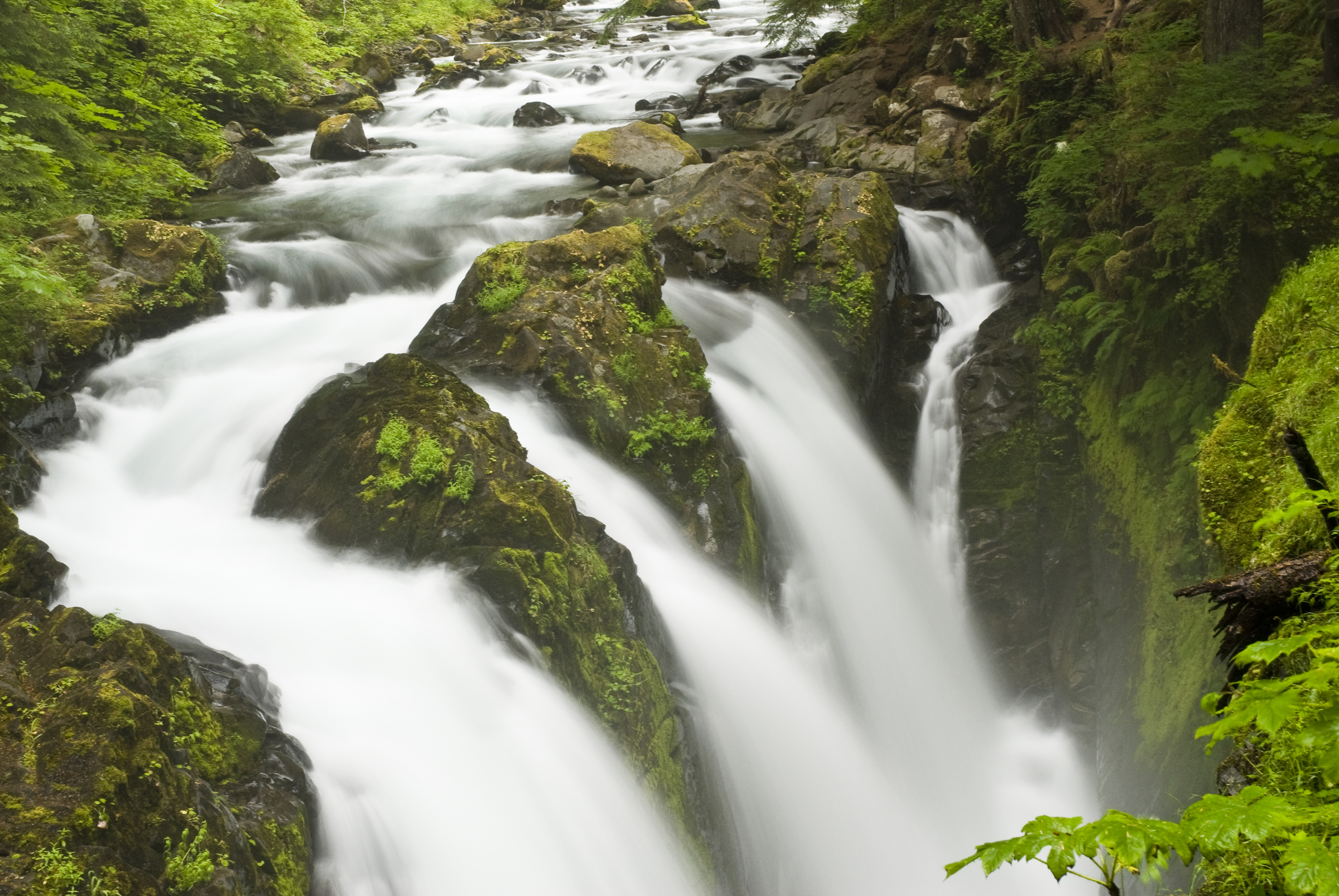 sol-duc-falls-olympic-national-park-wa