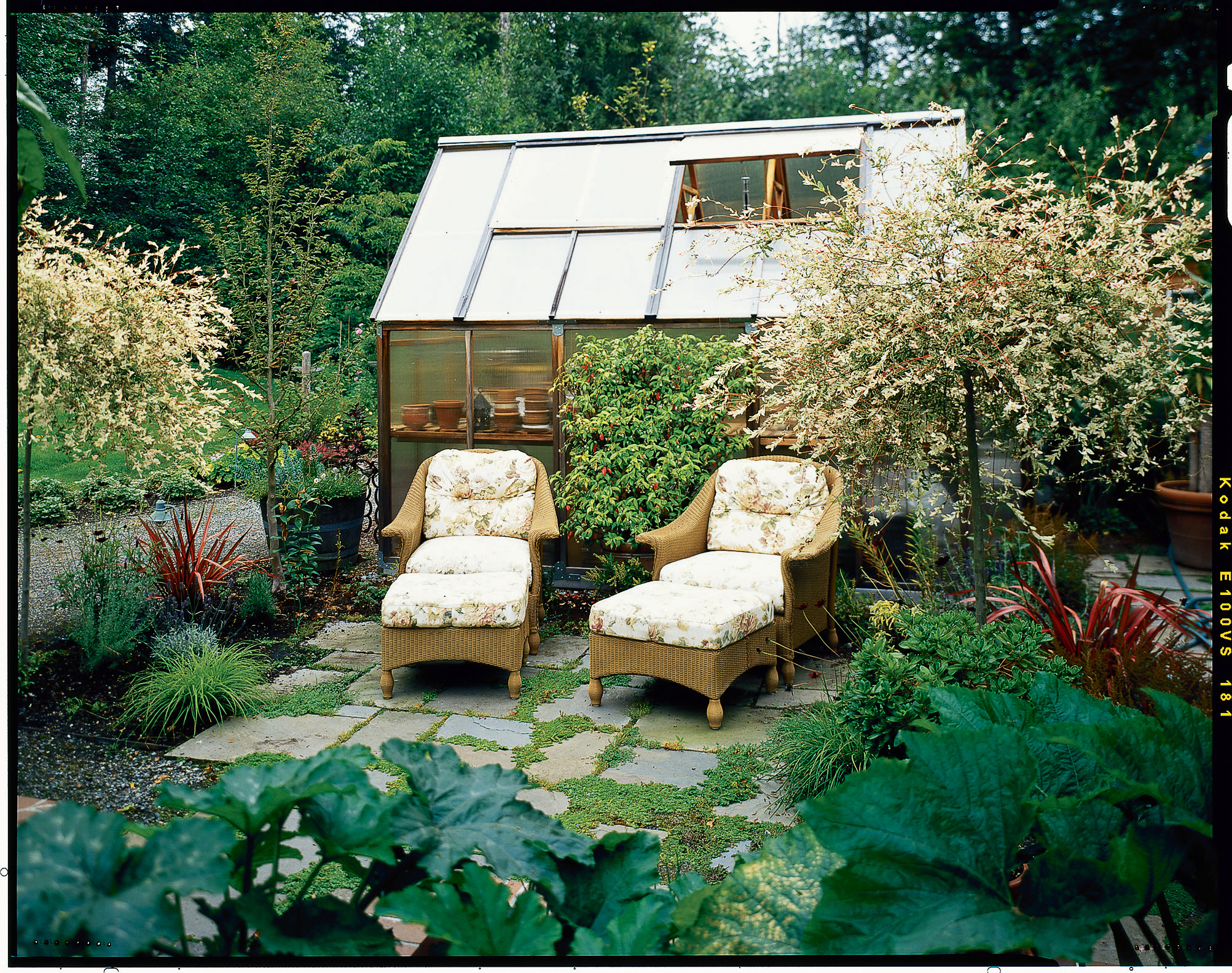 Plan a patio: Watching the garden grow