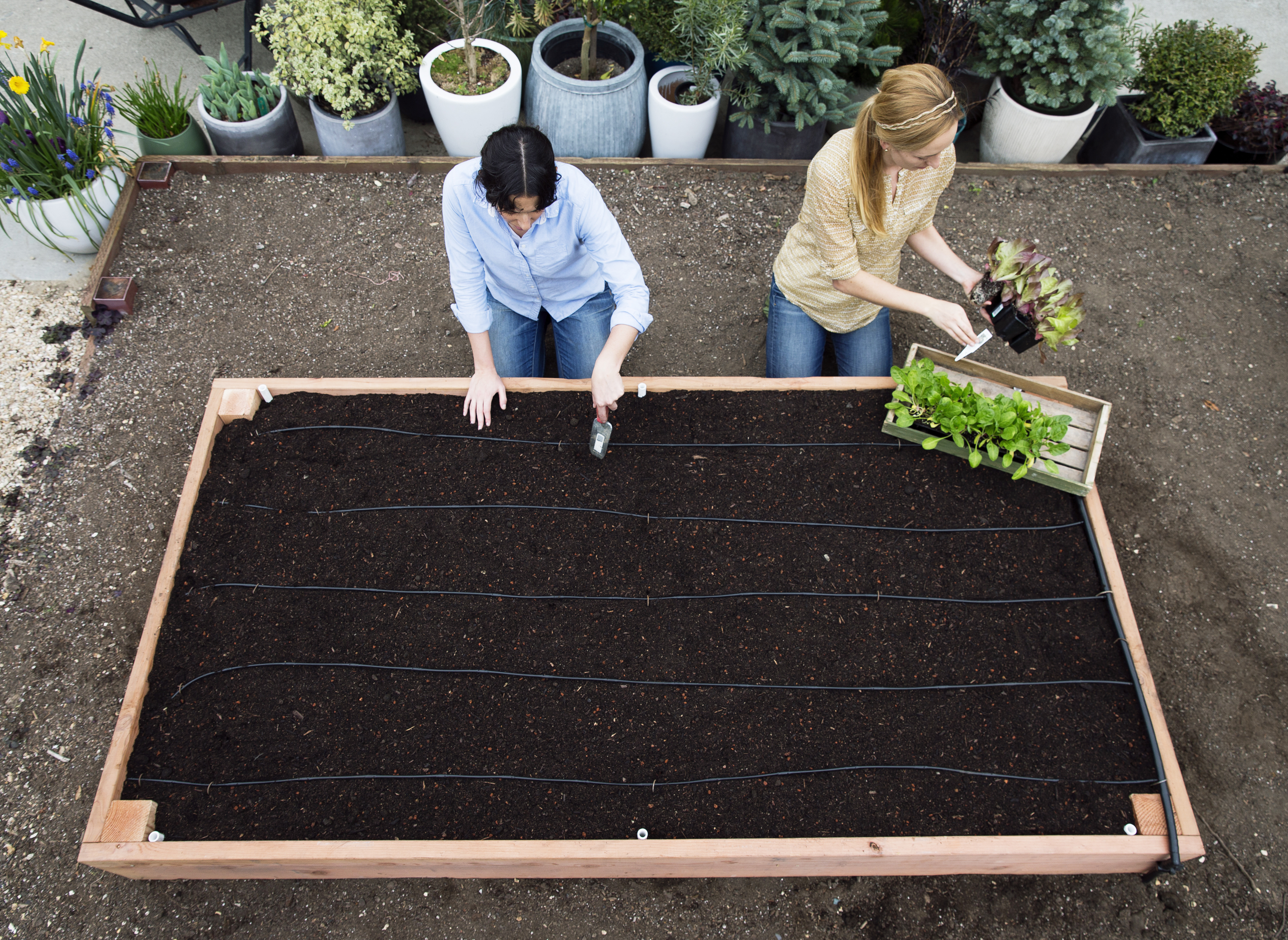 the-perfect-raised-bed