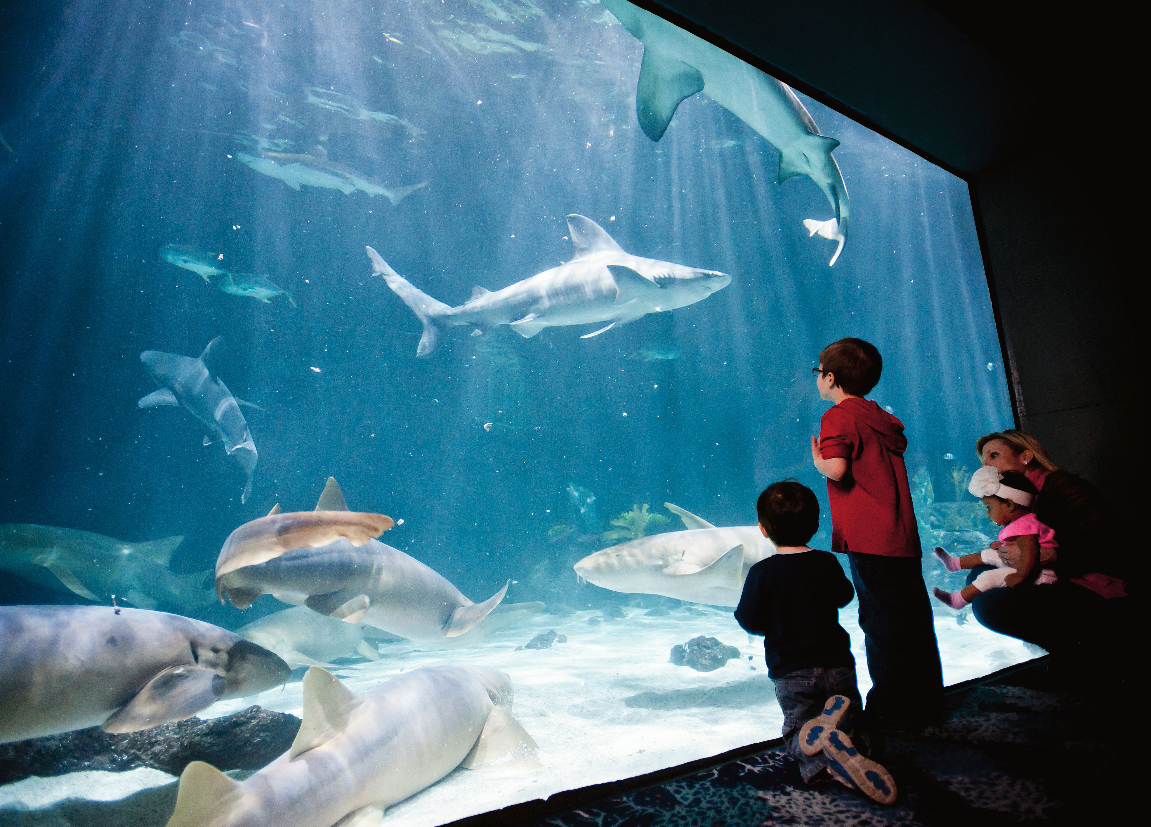 point-defiance-zoo-and-aquarium