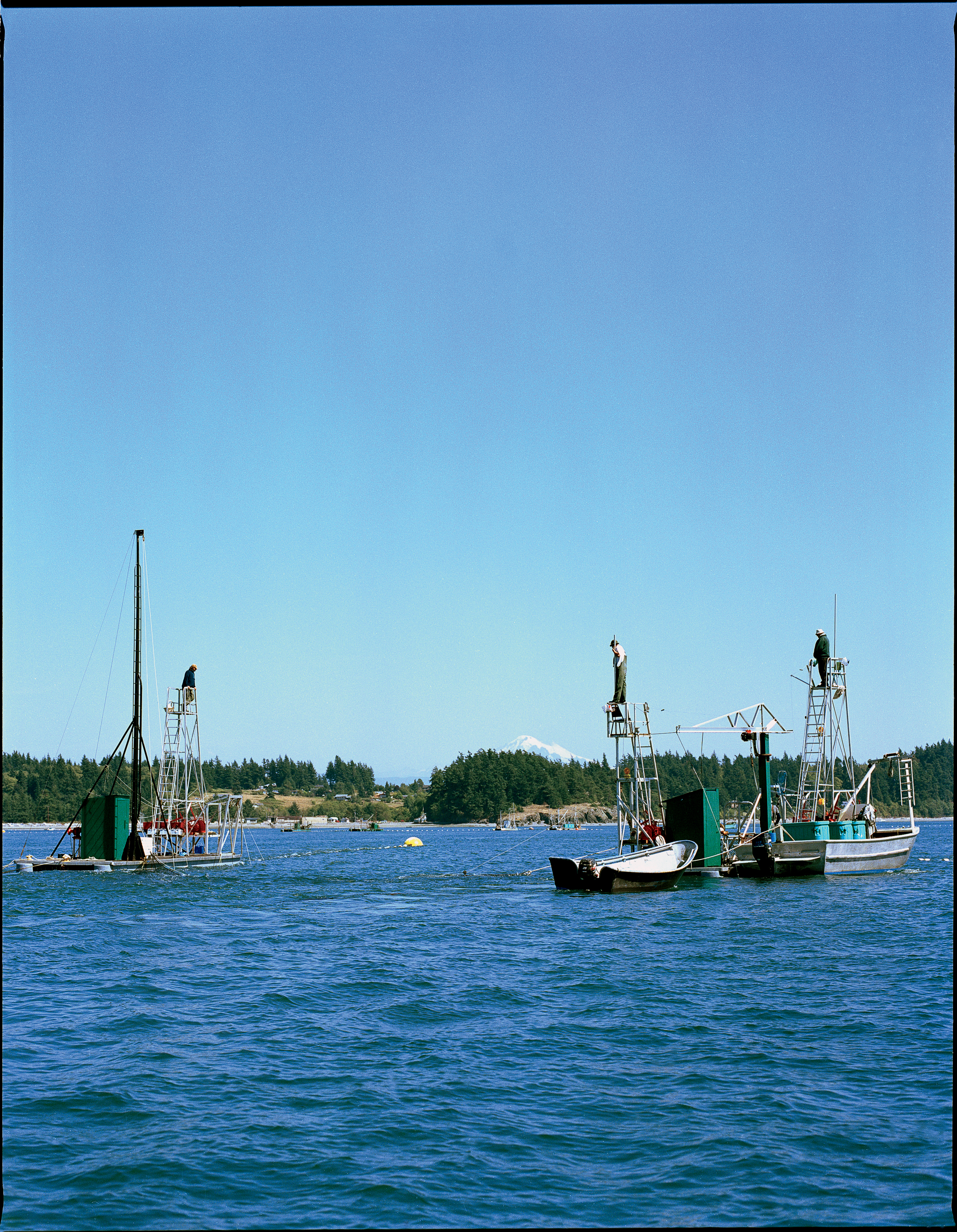 fresh-and-organic-in-lummi-island-wa