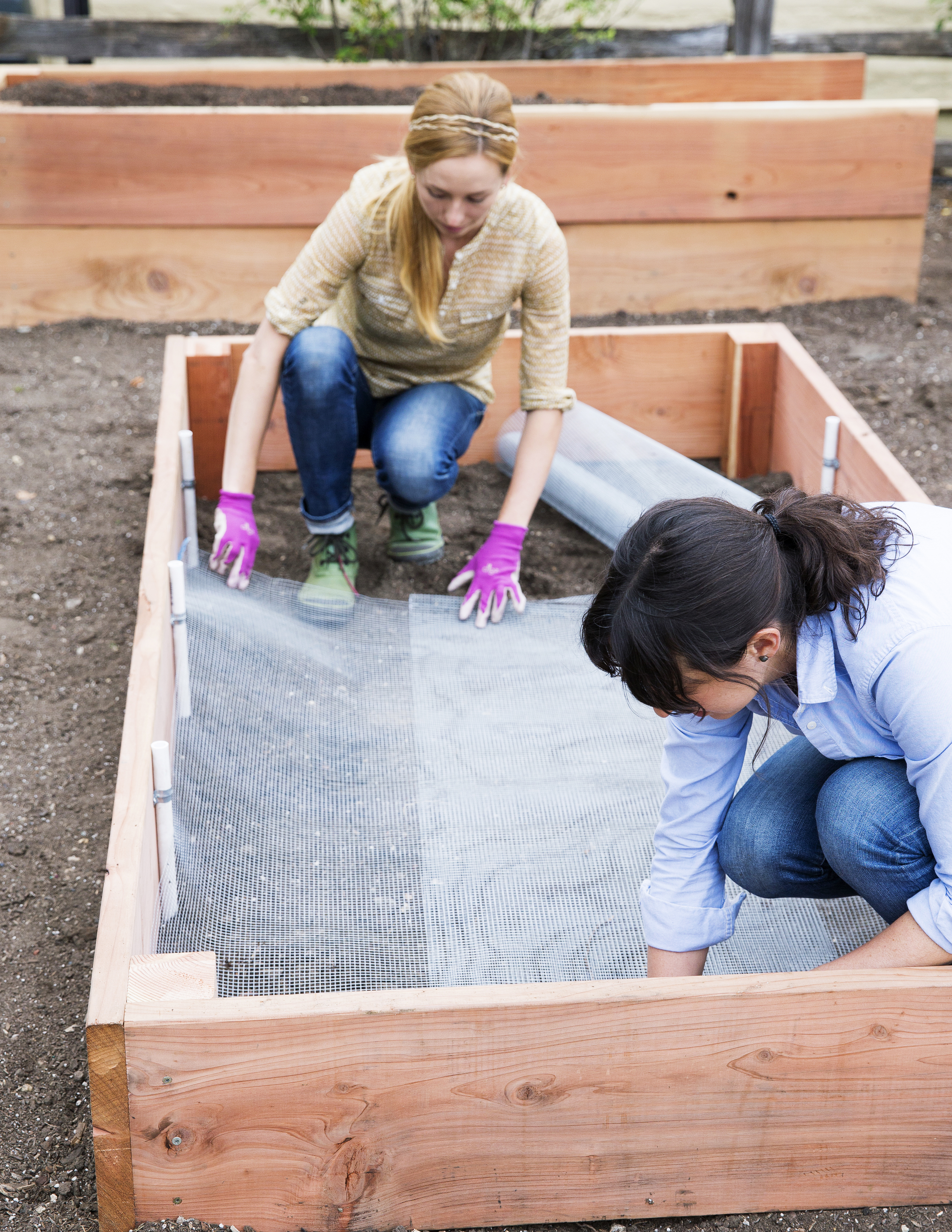 deter-burrowing-pests