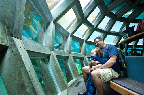 seattle-aquarium