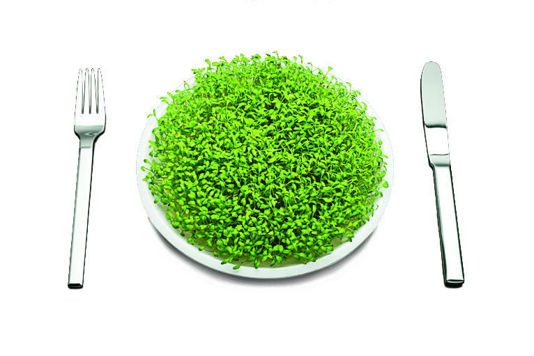 portland-smug-factor