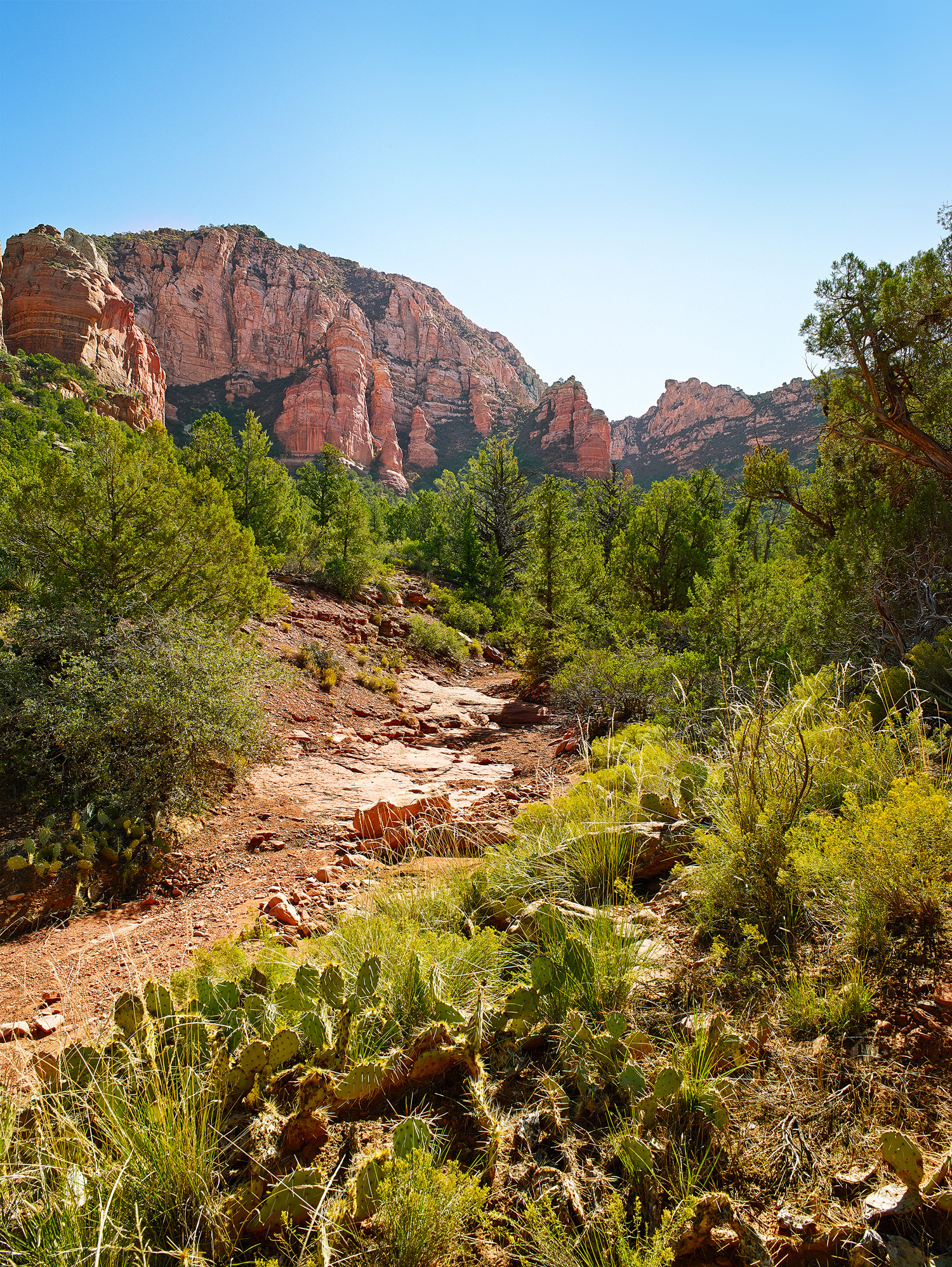 dry-creek-trail-52-sedona-az