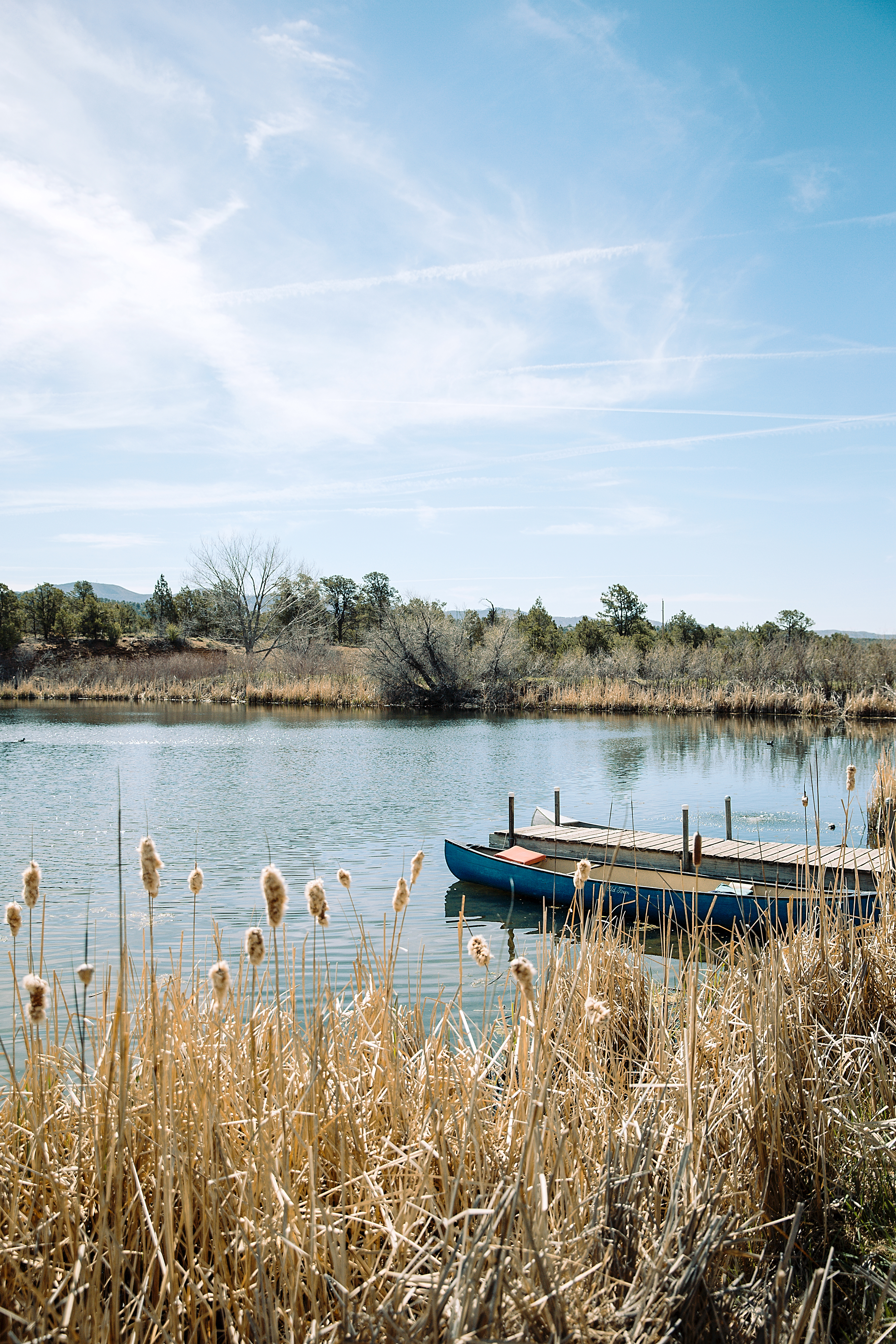abode-at-willowtail-springs