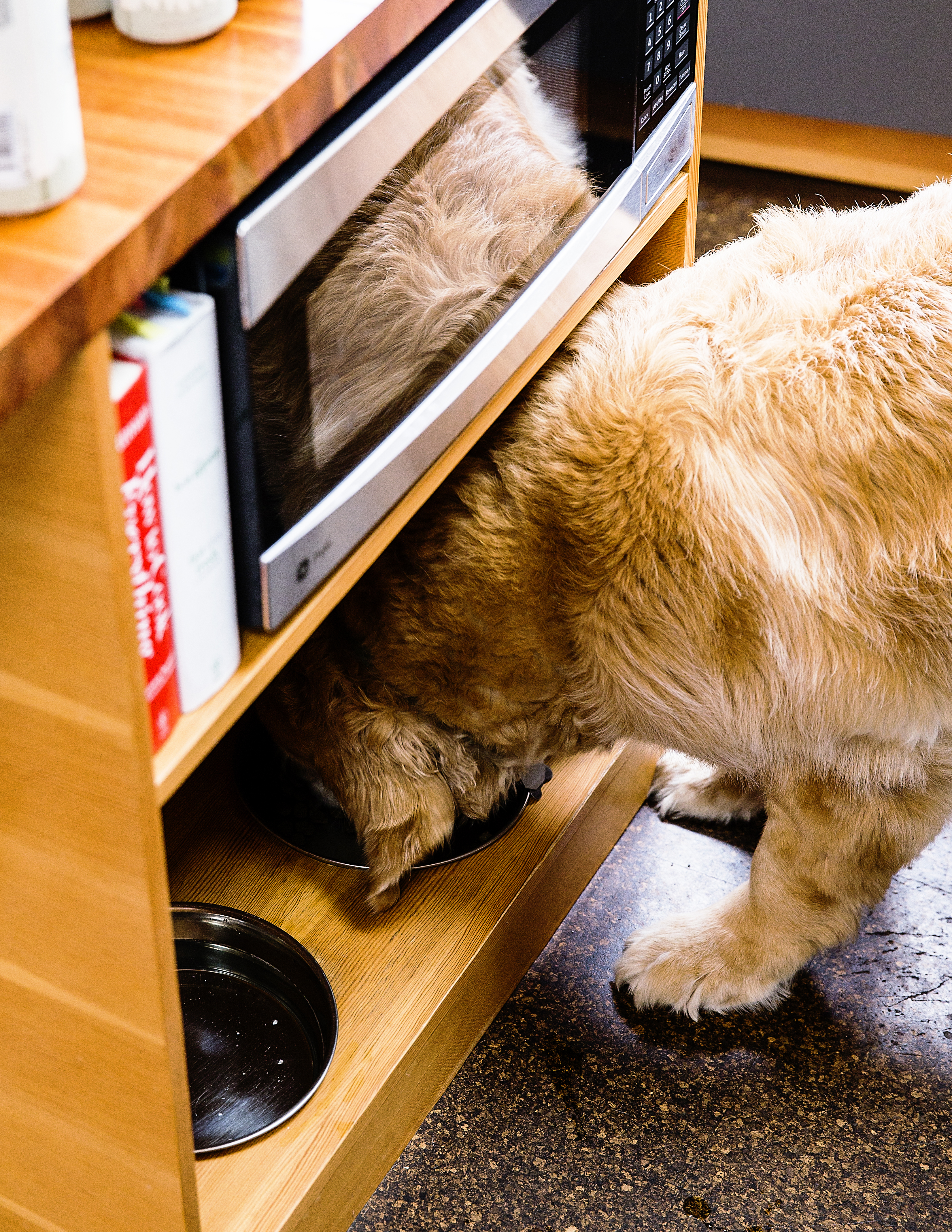 get-more-out-of-the-island