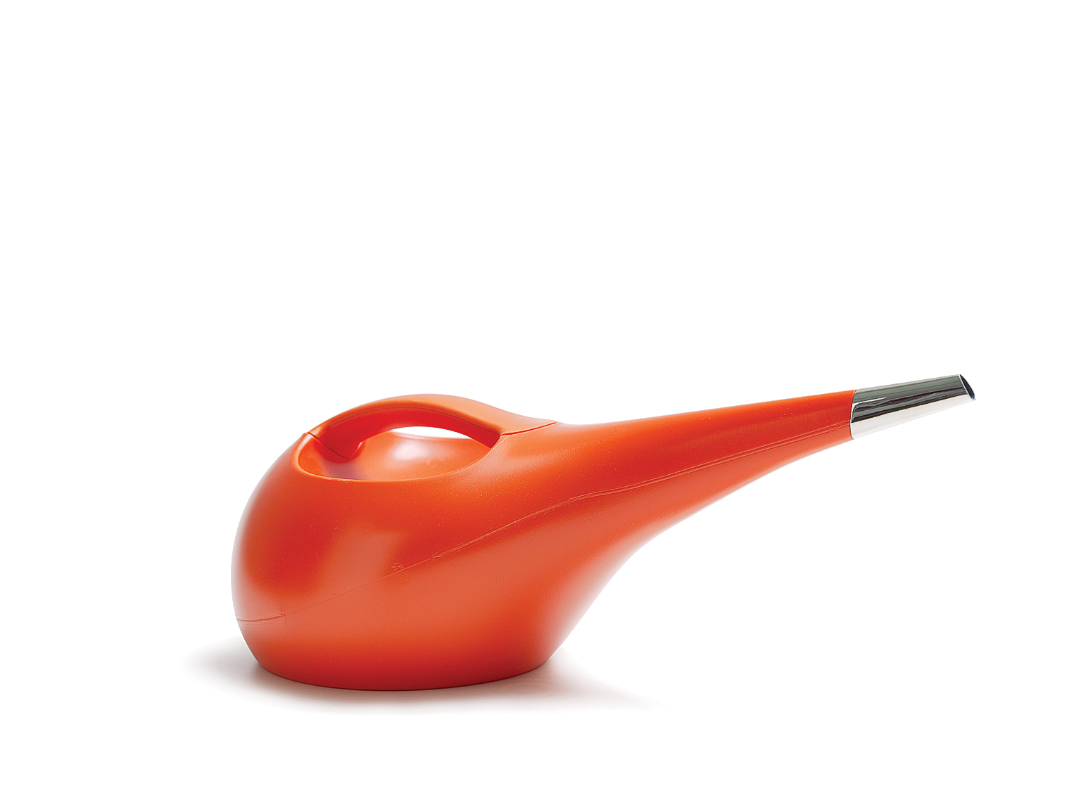 keep-your-houseplants-happy