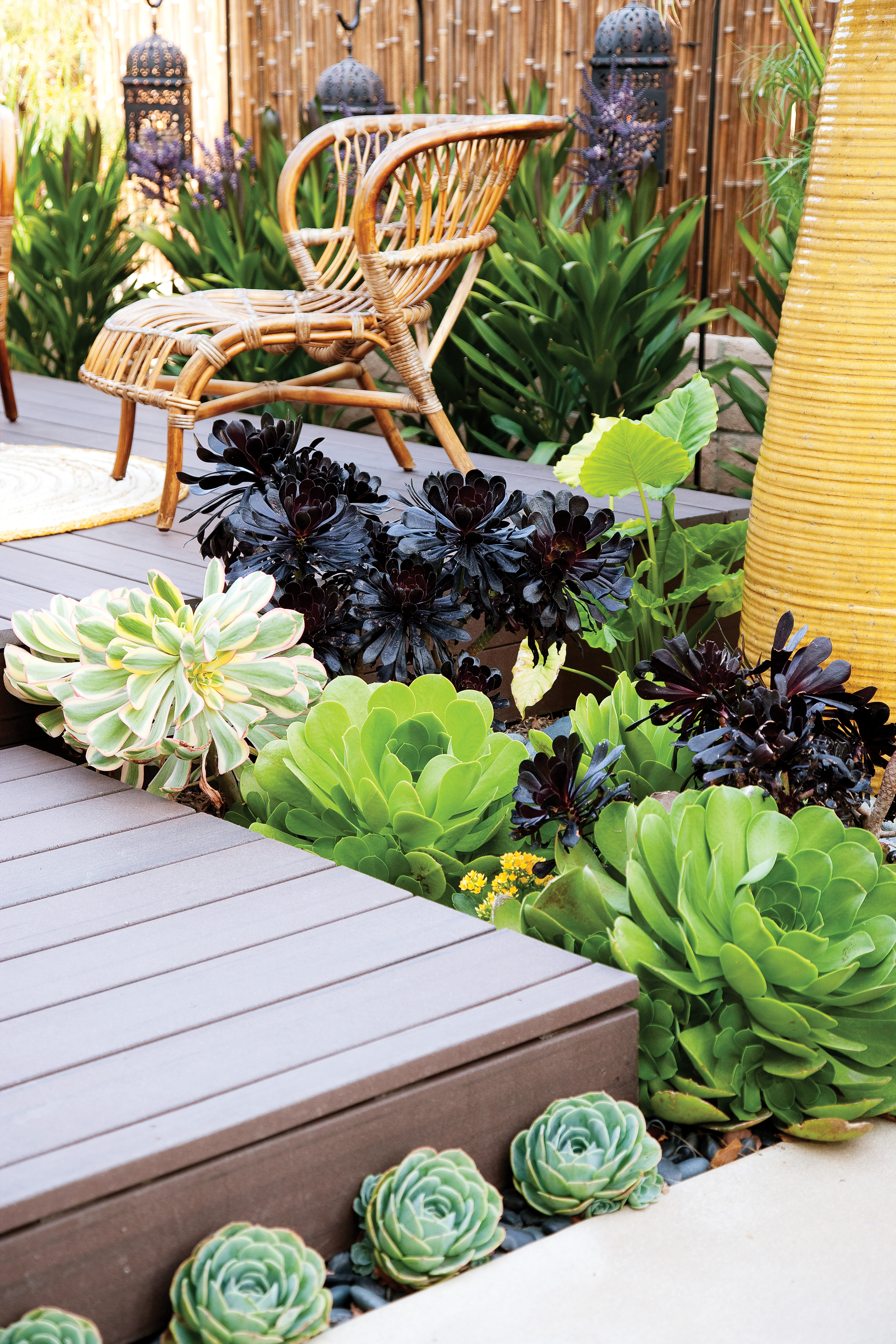 plant-a-pocket-garden