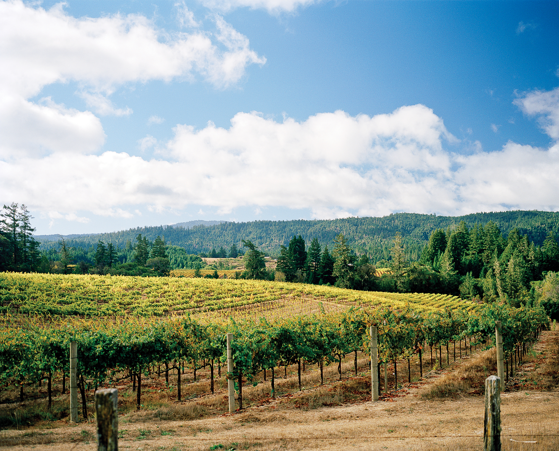 Taste your way through Anderson Valley
