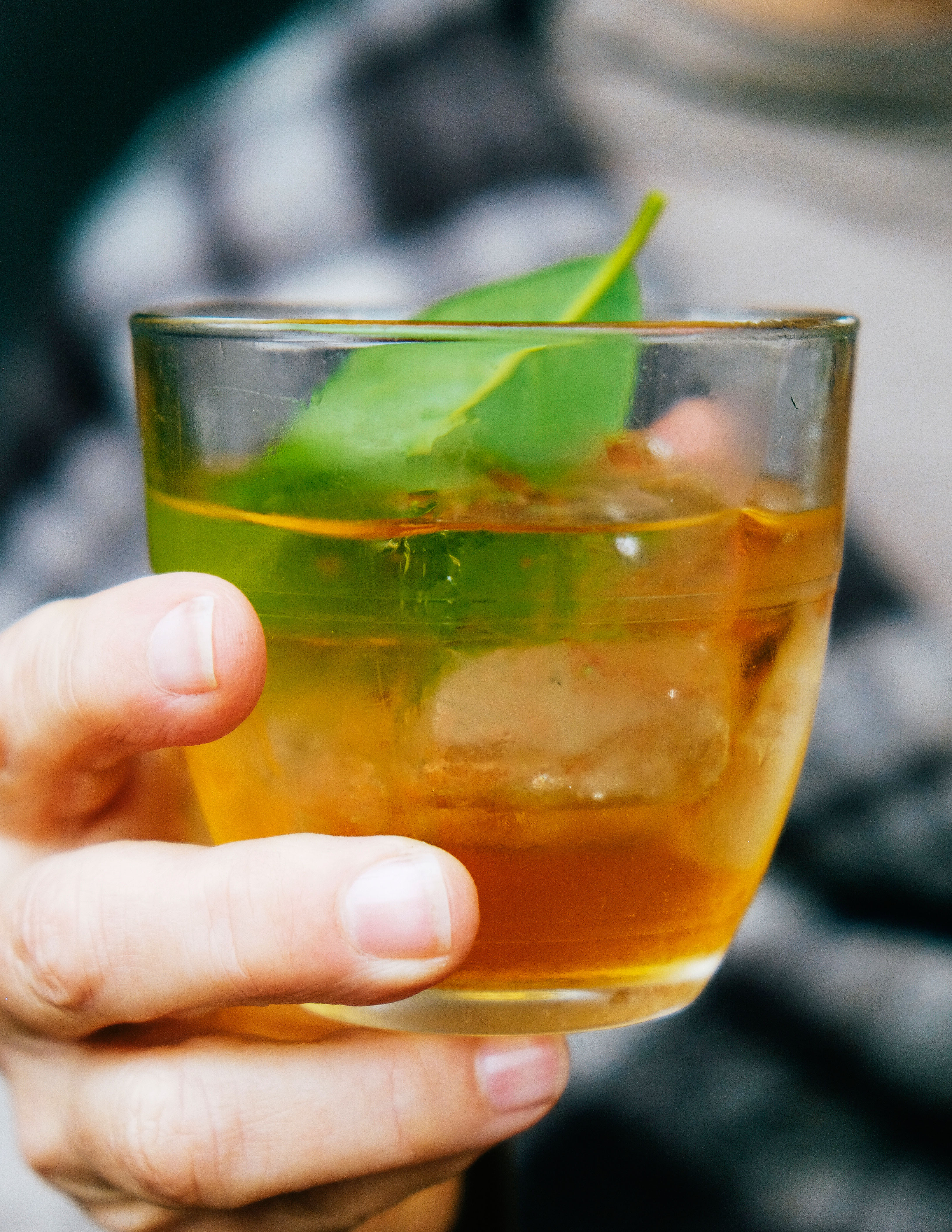 quince-shrub-and-cocktail