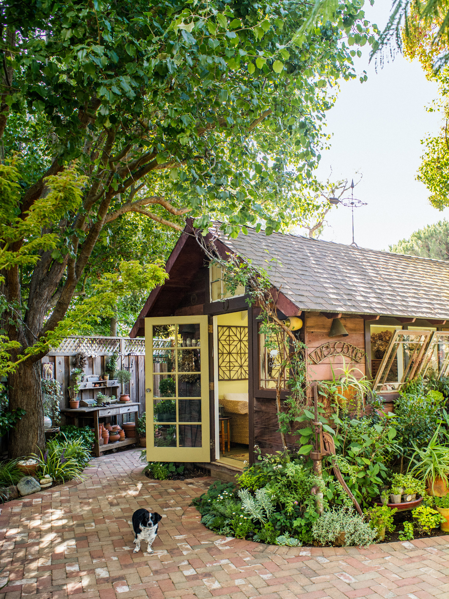 Garden Shed Becomes a Backyard Retreat