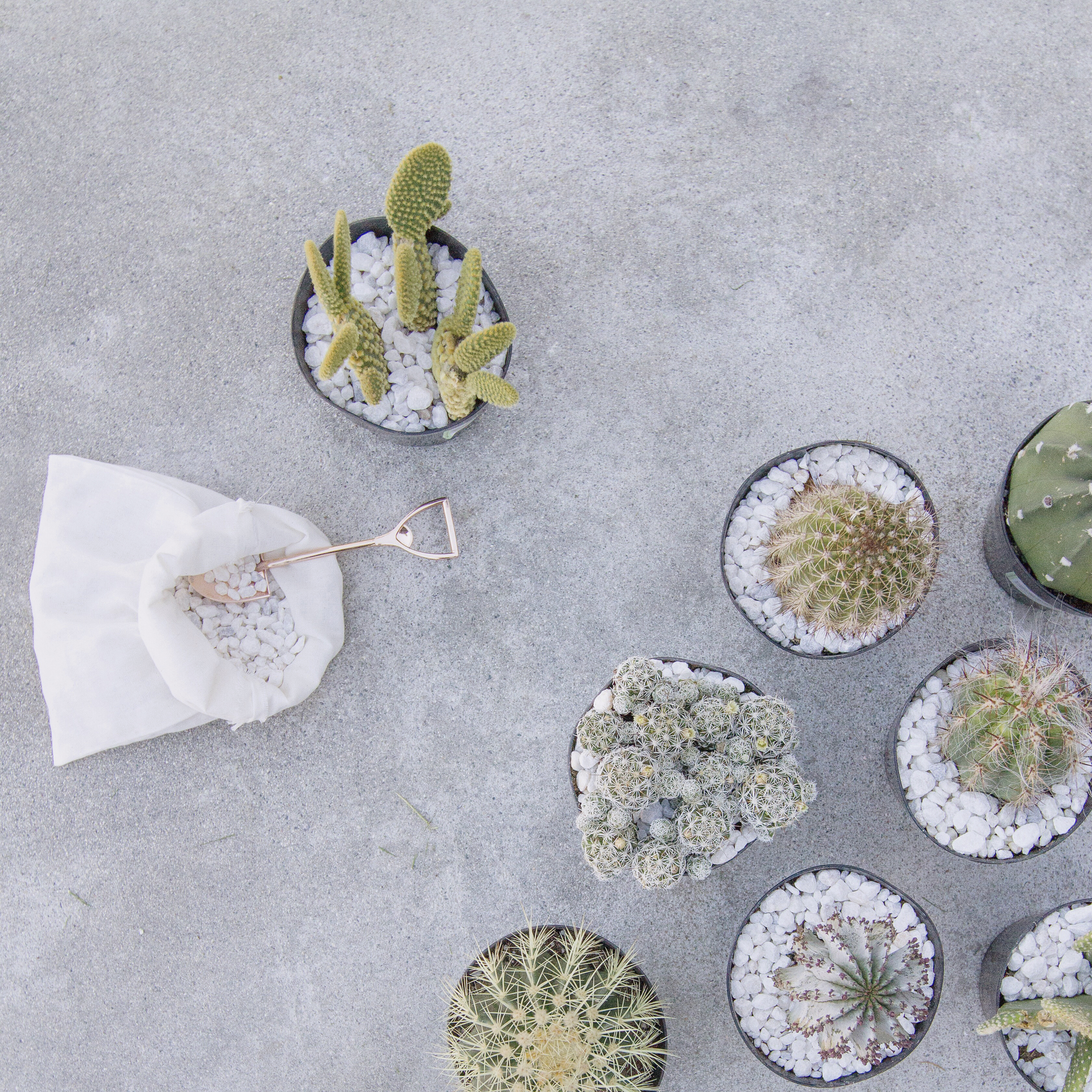 top-dress-your-plants