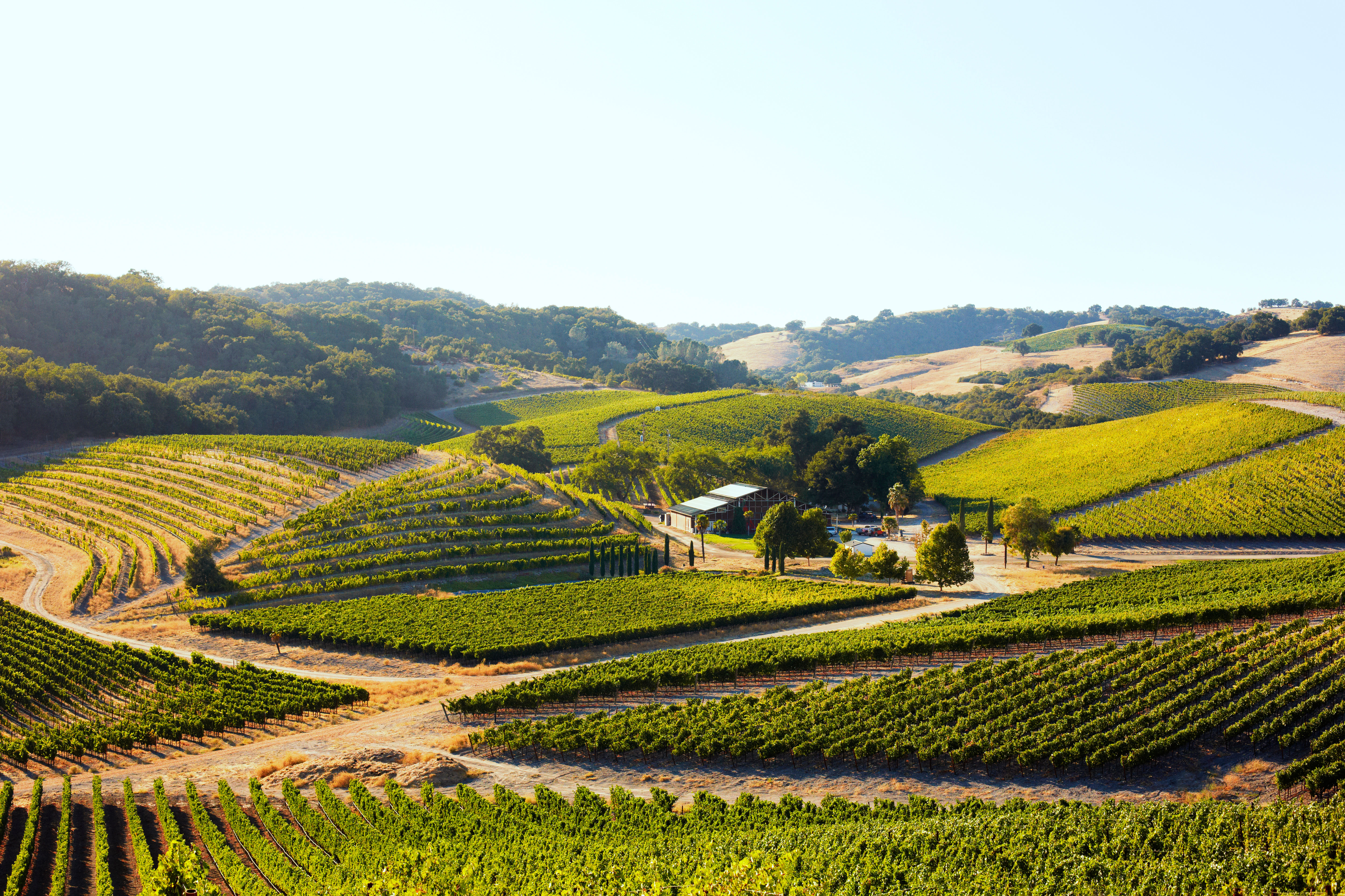 best-wine-country-town