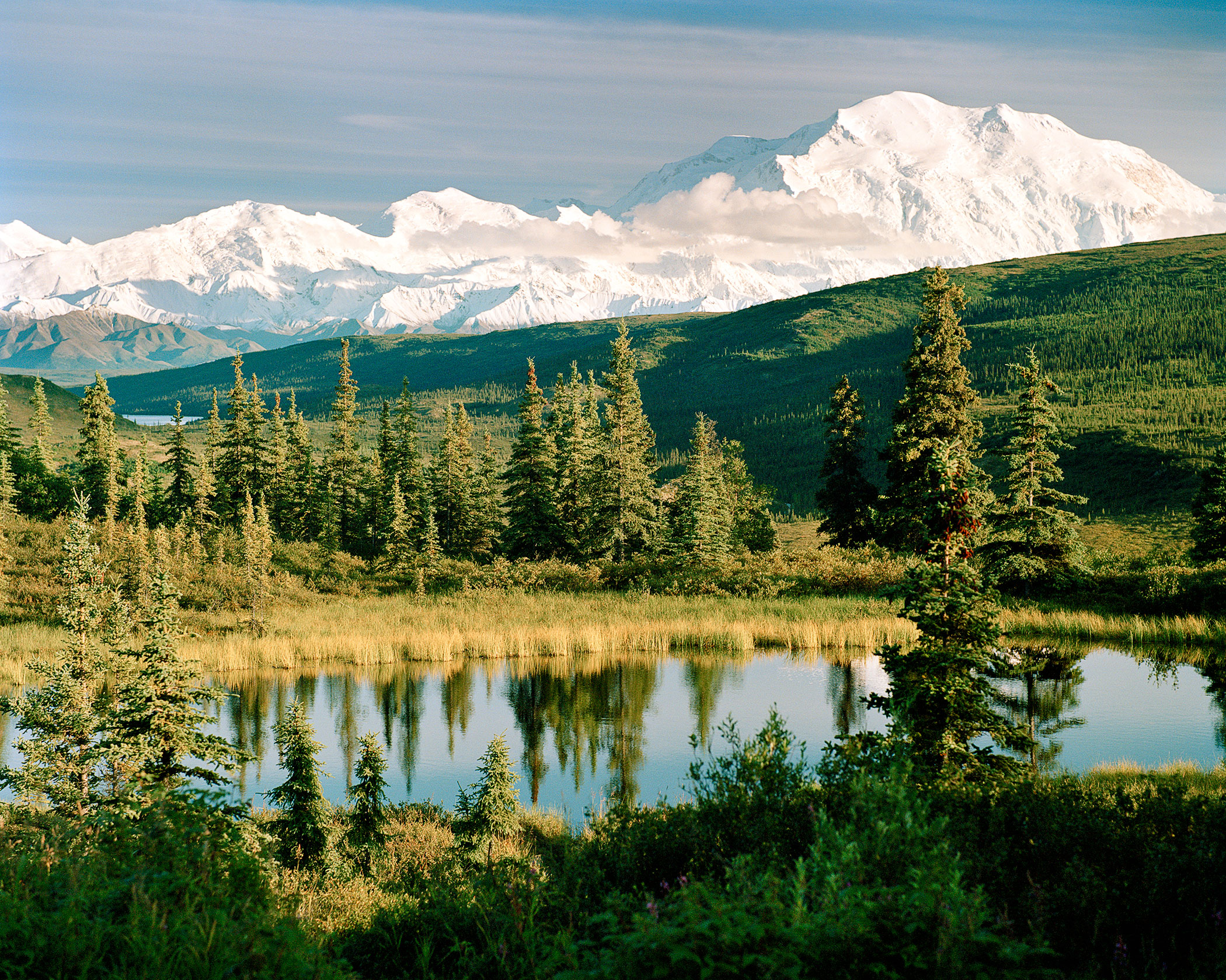 peoples-choice-award