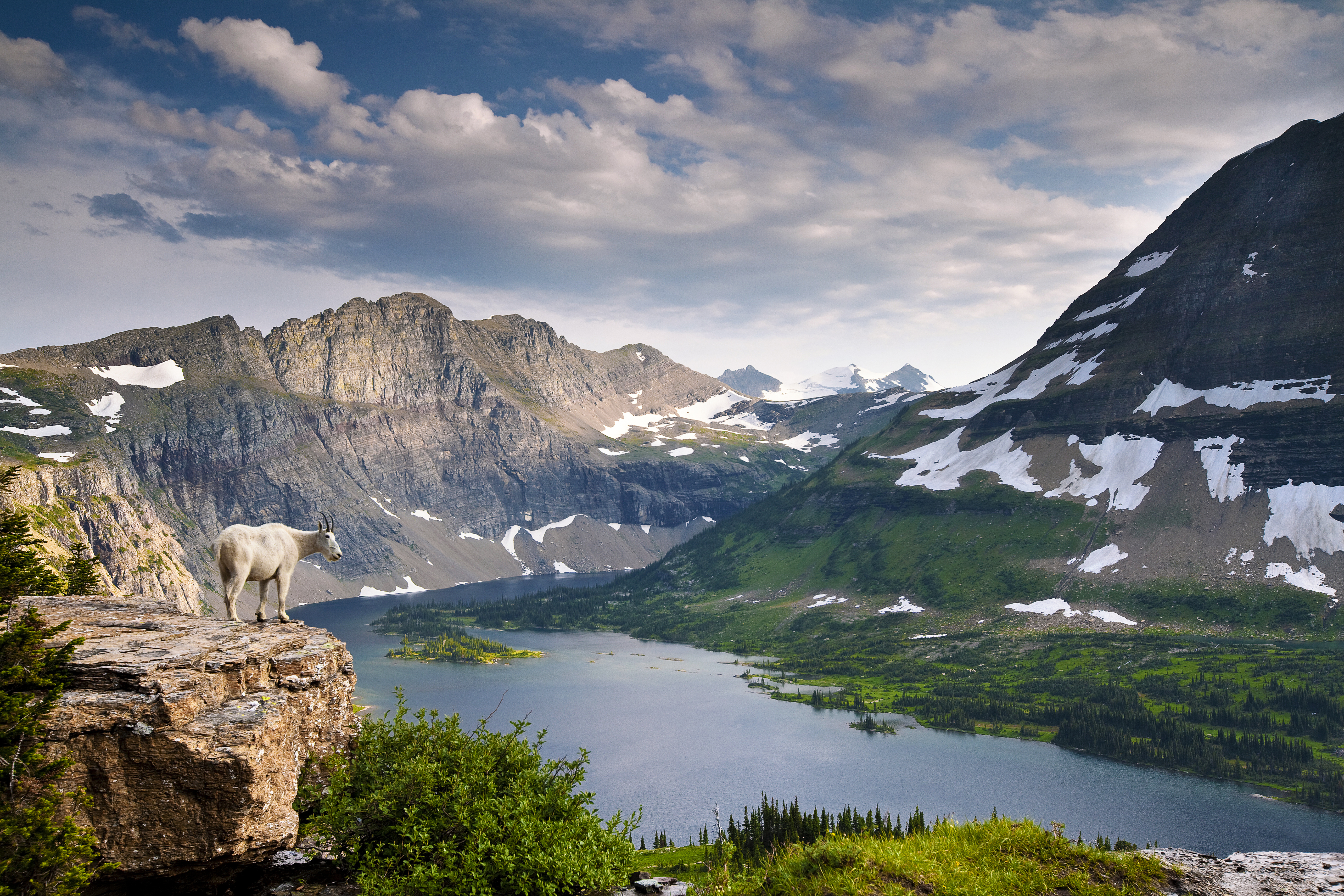 Please Don’t Treat National Parks Like a Garbage Can, Says Glacier National Park