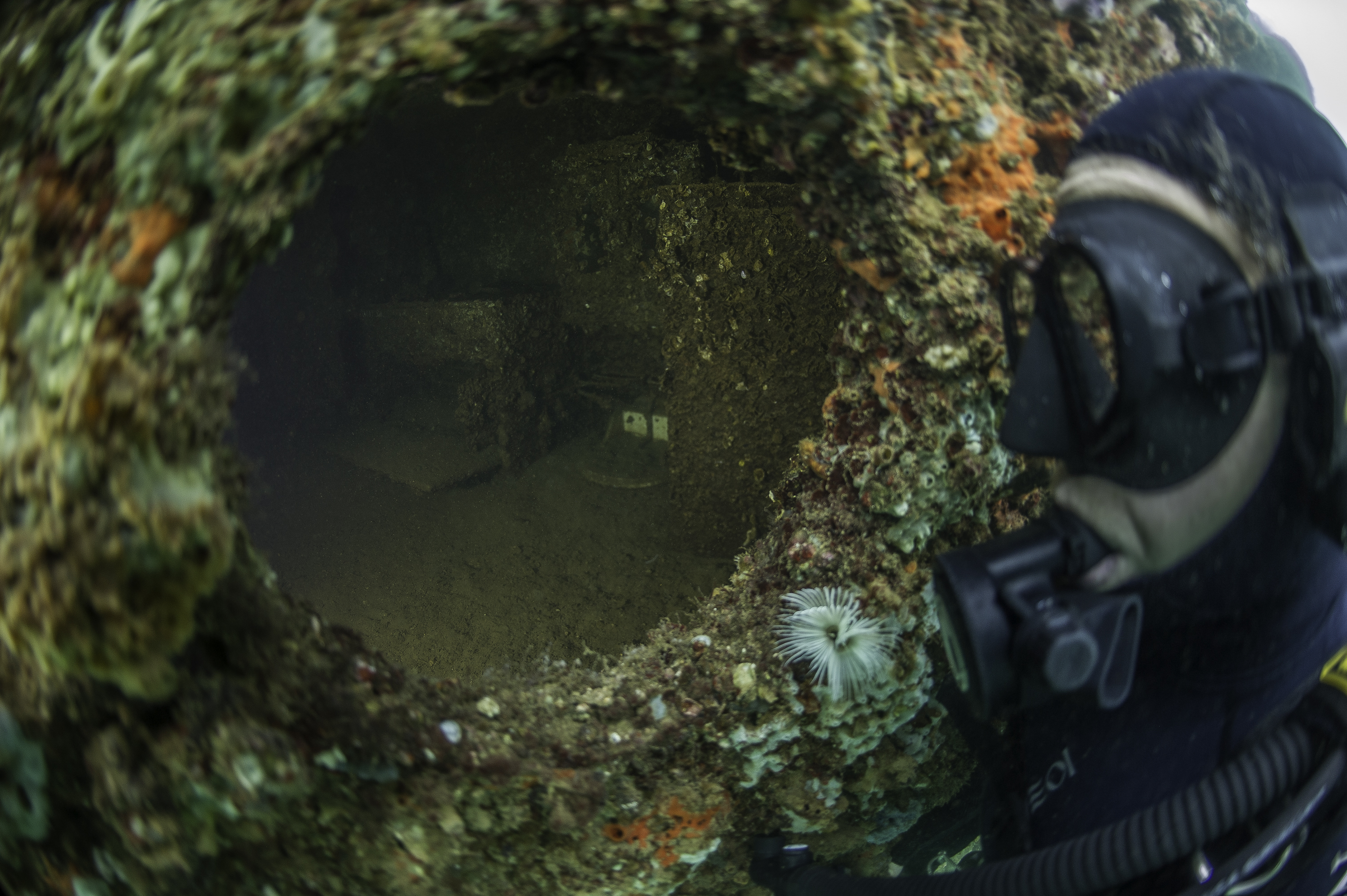 view-from-the-porthole