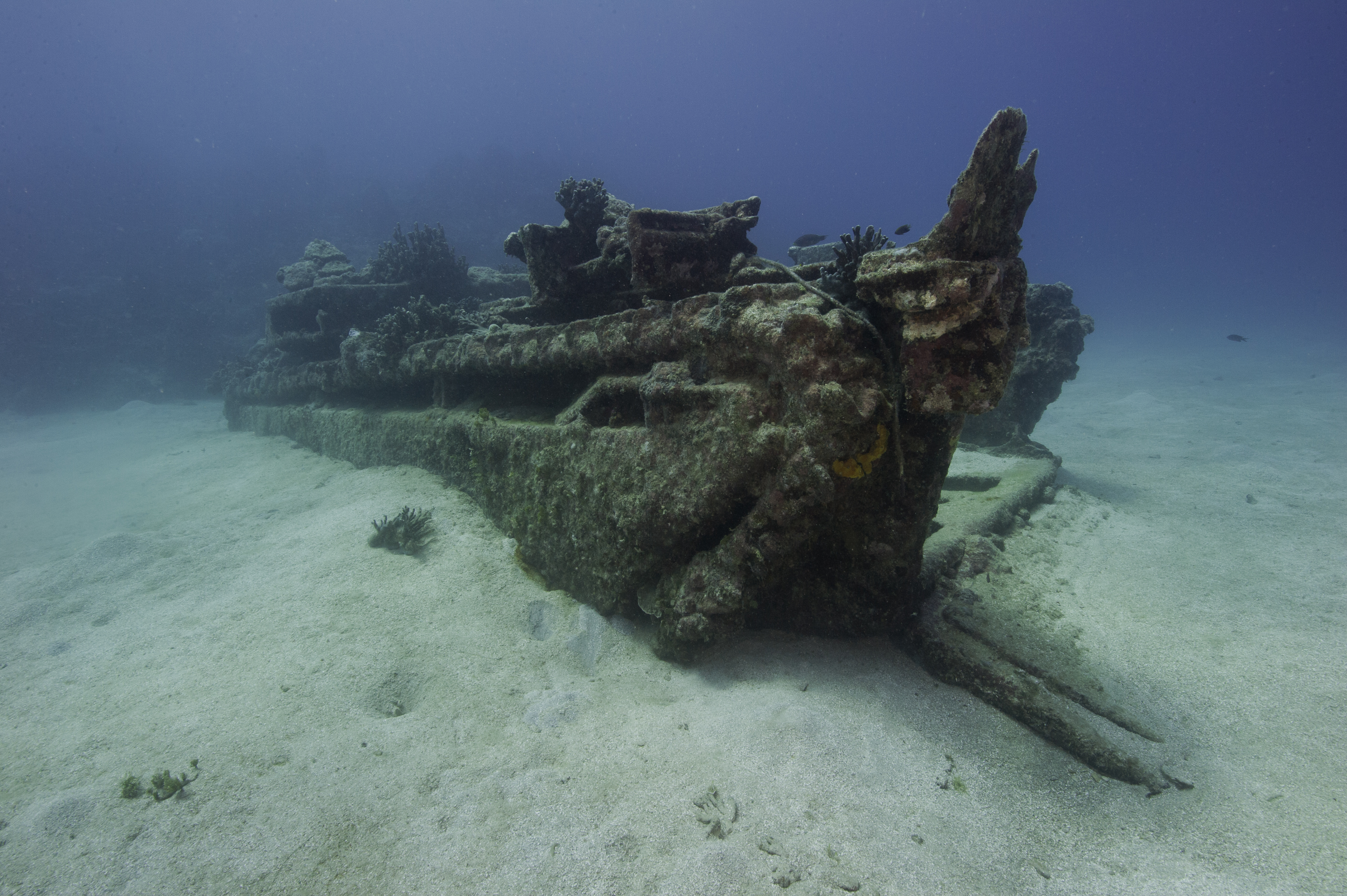 deployed-for-landing