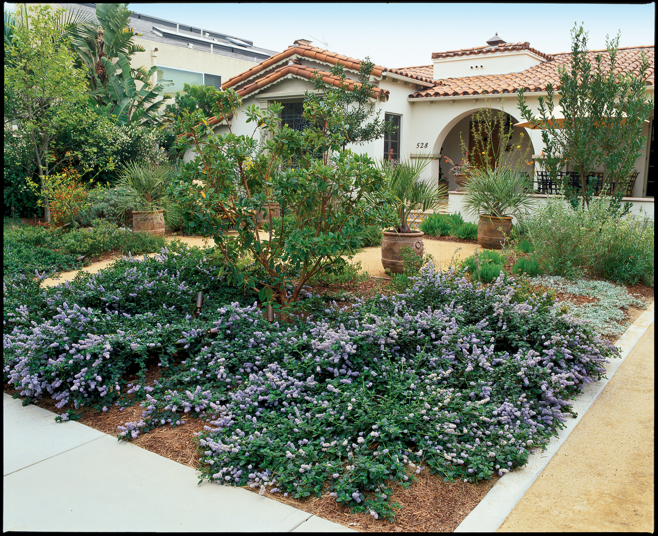 plant-a-native-garden