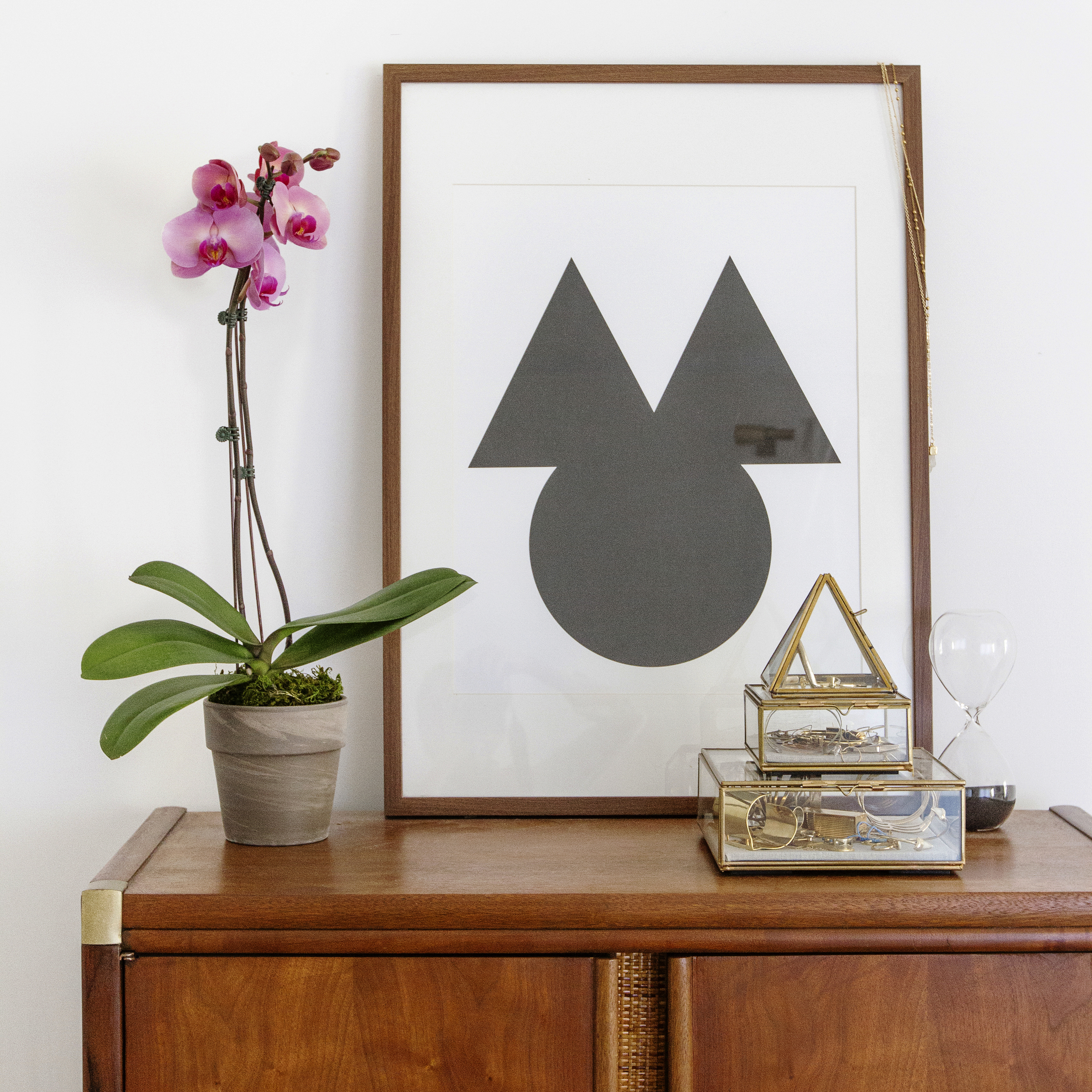 conjure-new-orchid-blooms