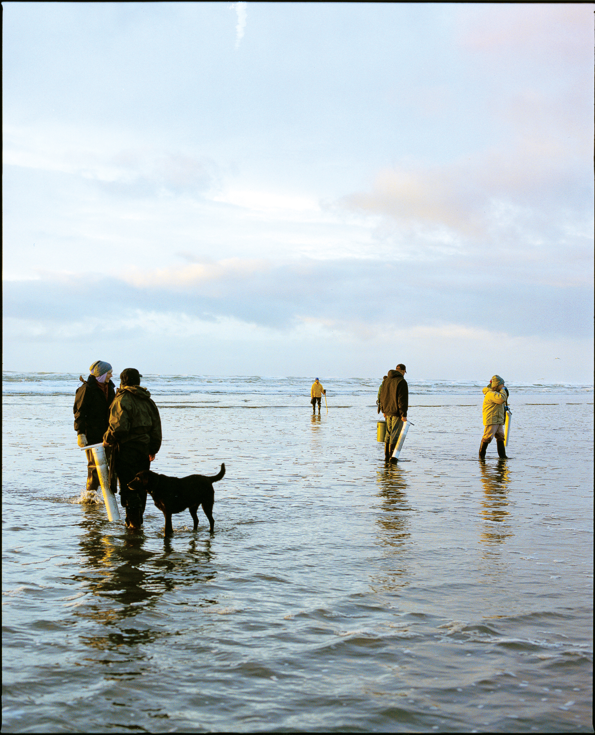 winter-clamming-in-westport-wa