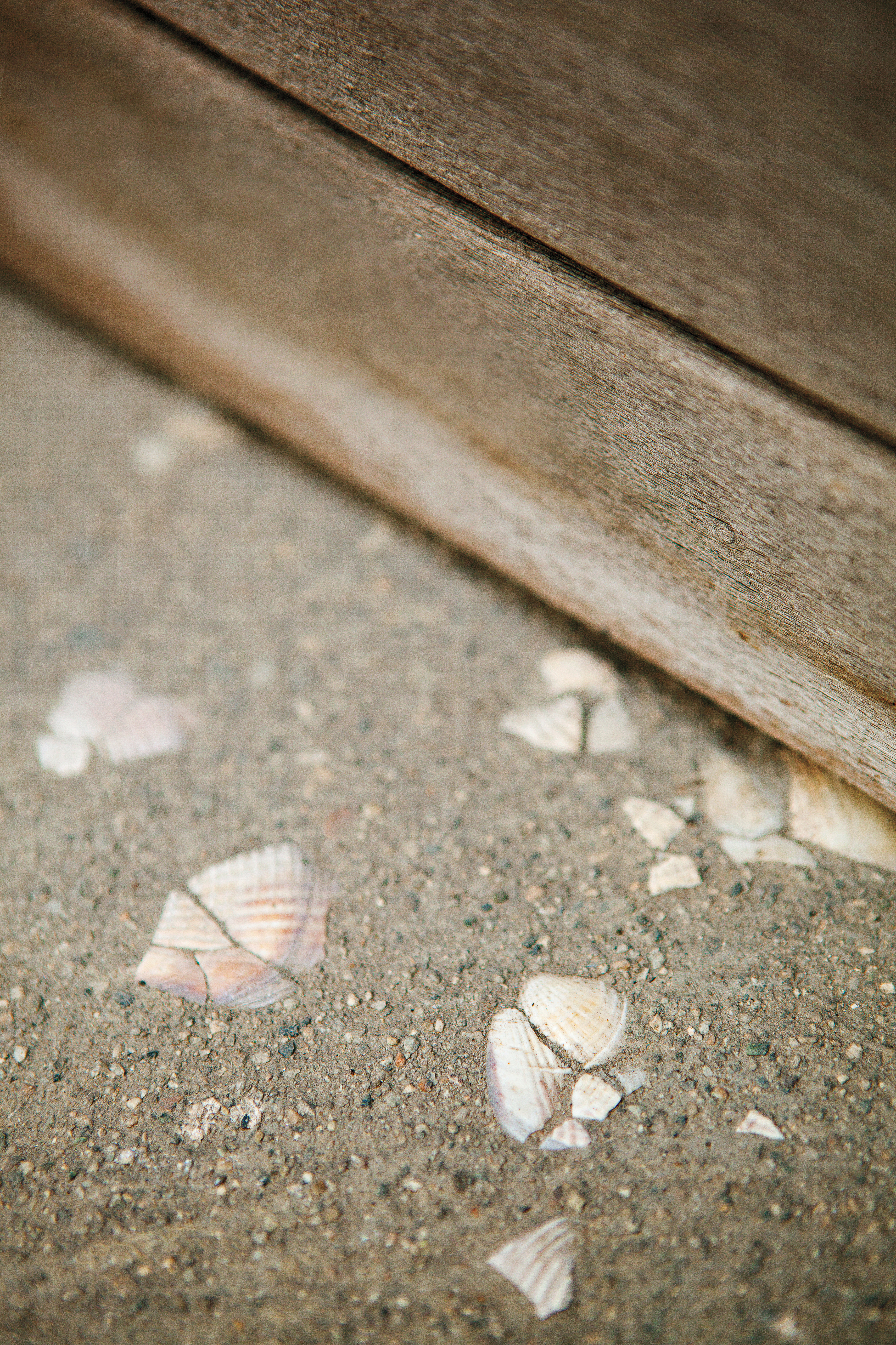 beach-up-some-paving